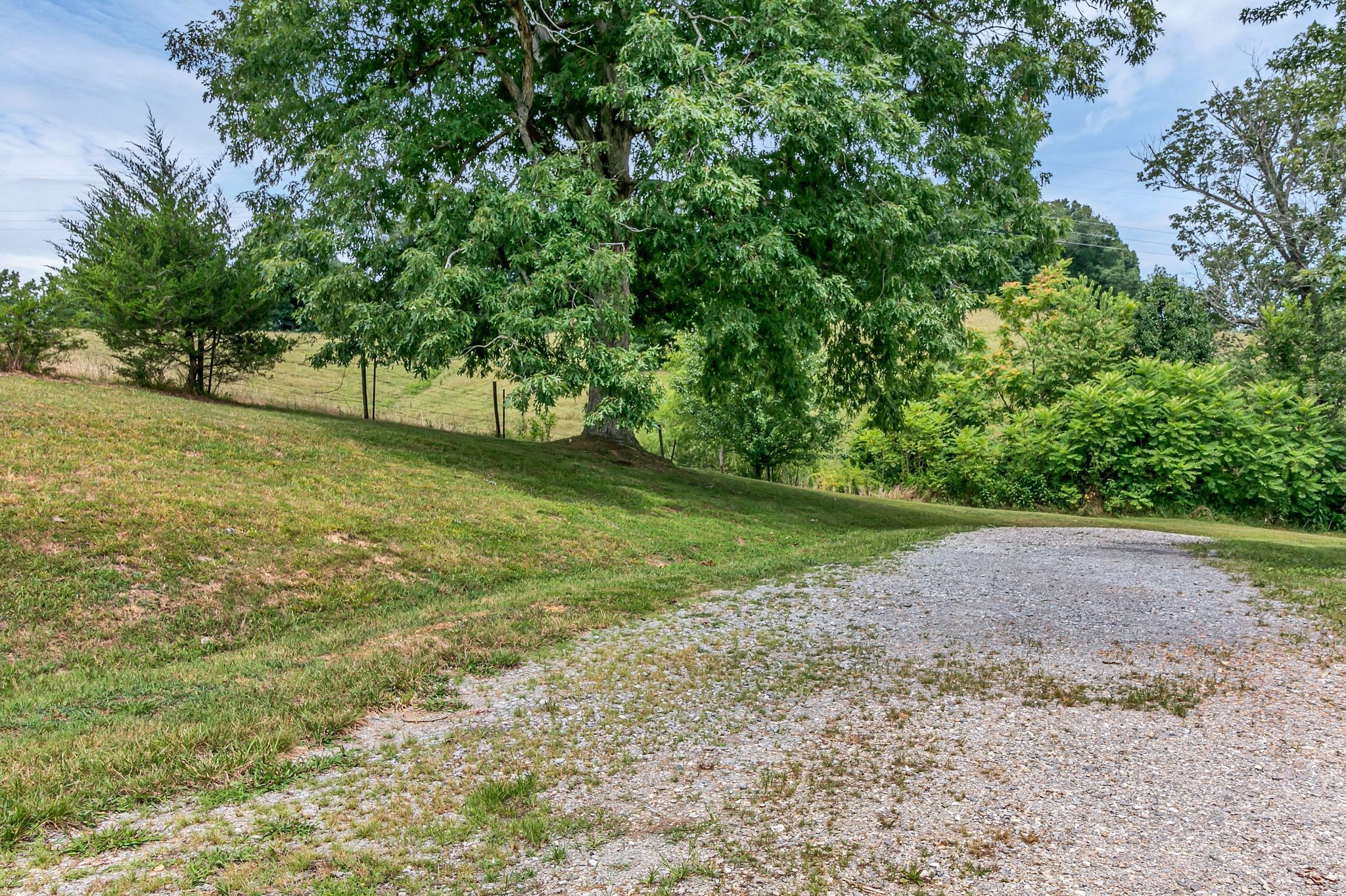 2078 Highway 231 Property Photo 22
