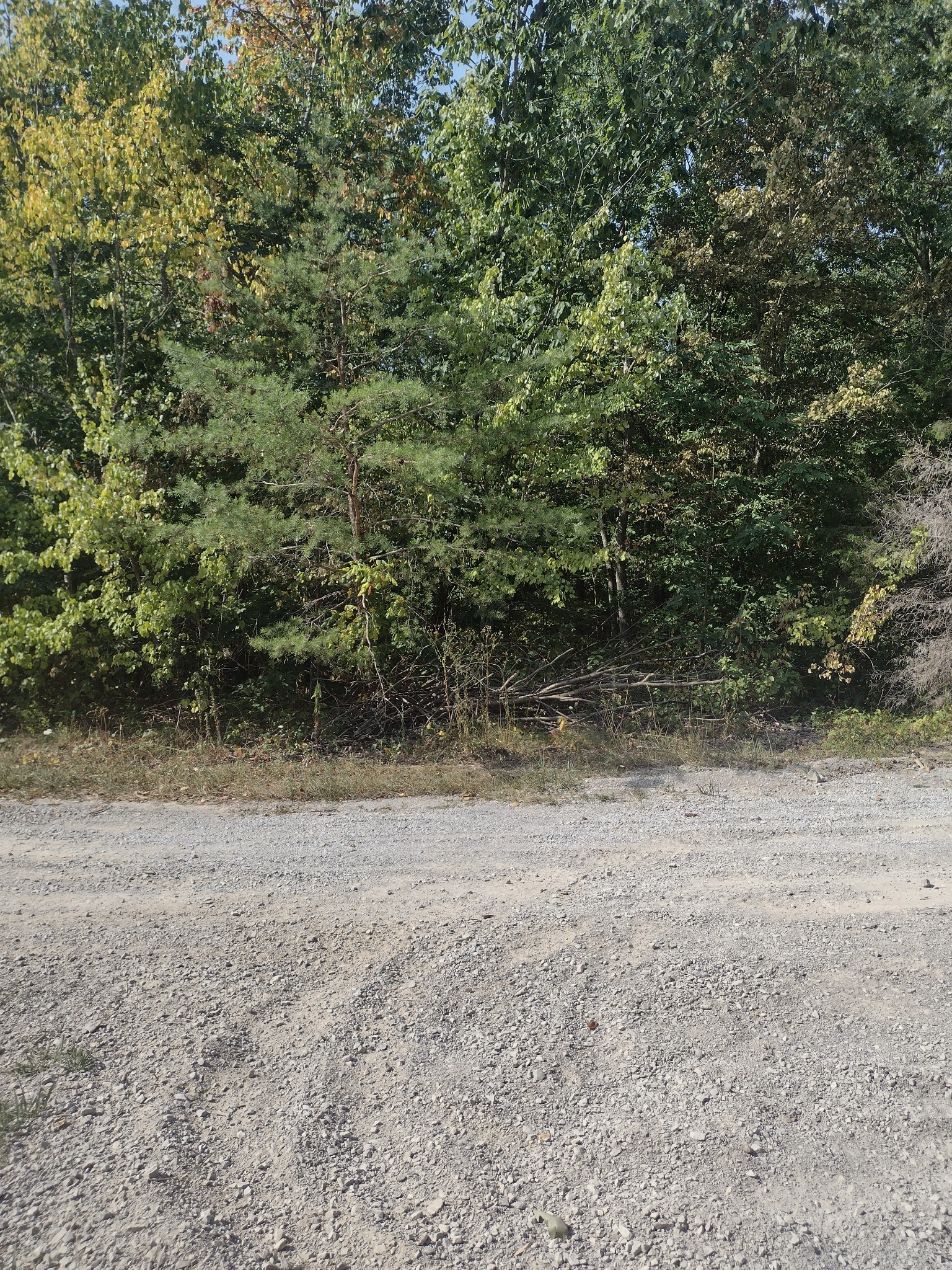 0 Myers Rd Property Photo 2