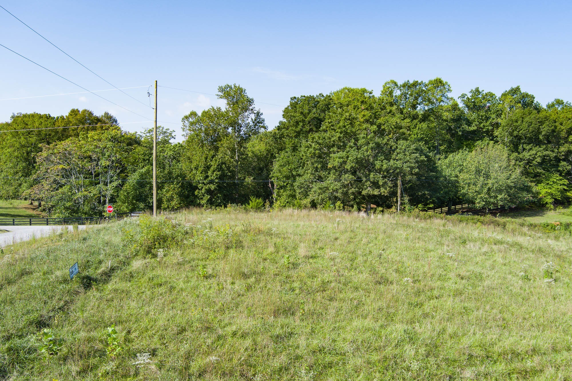 0 Backbone Road Property Photo 4