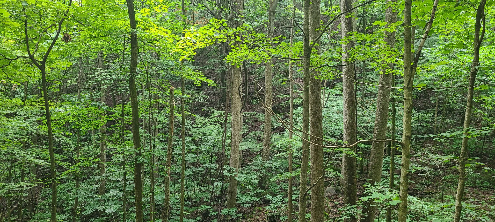 0 Deer Run Rd Property Photo 7