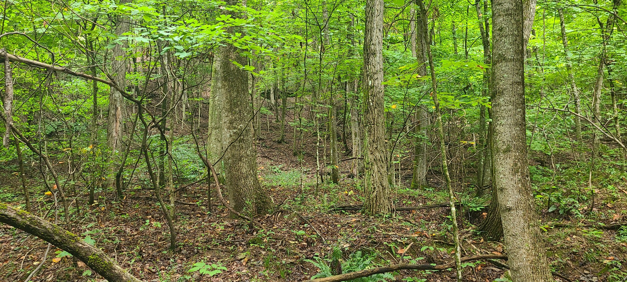 0 Deer Run Rd Property Photo 11