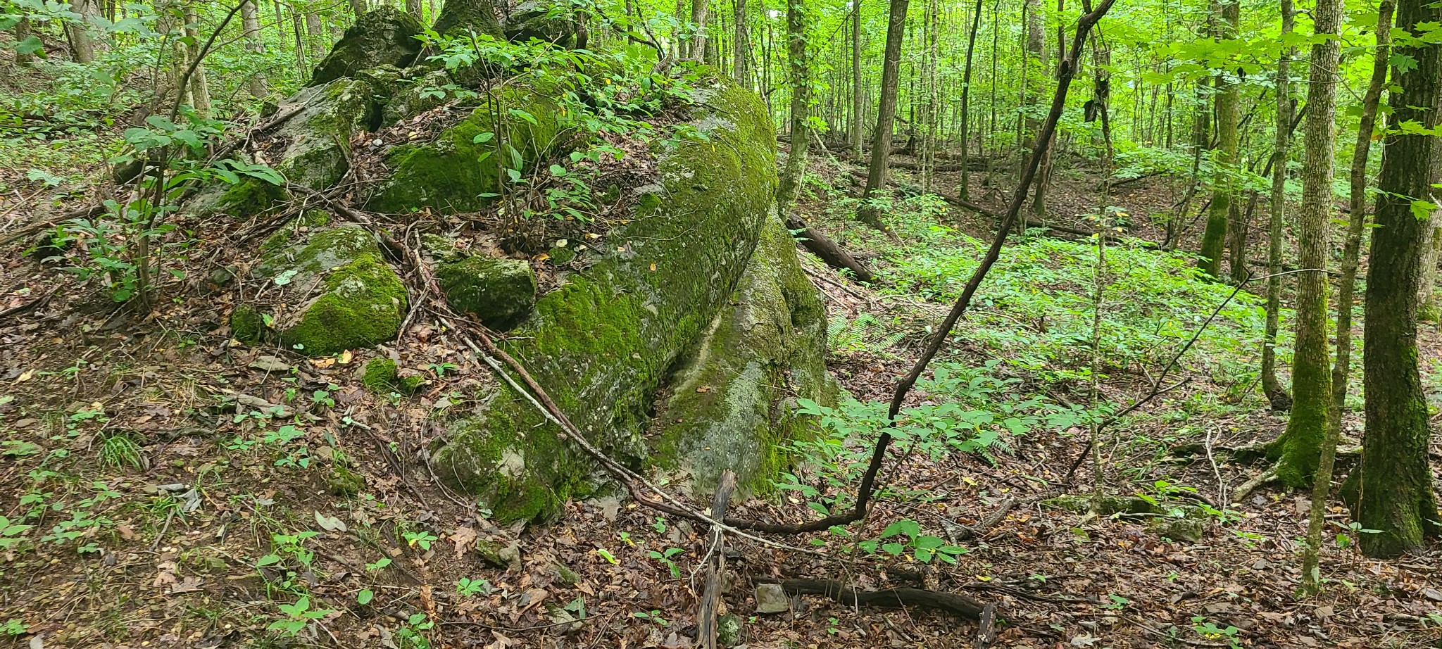 0 Deer Run Rd Property Photo 12