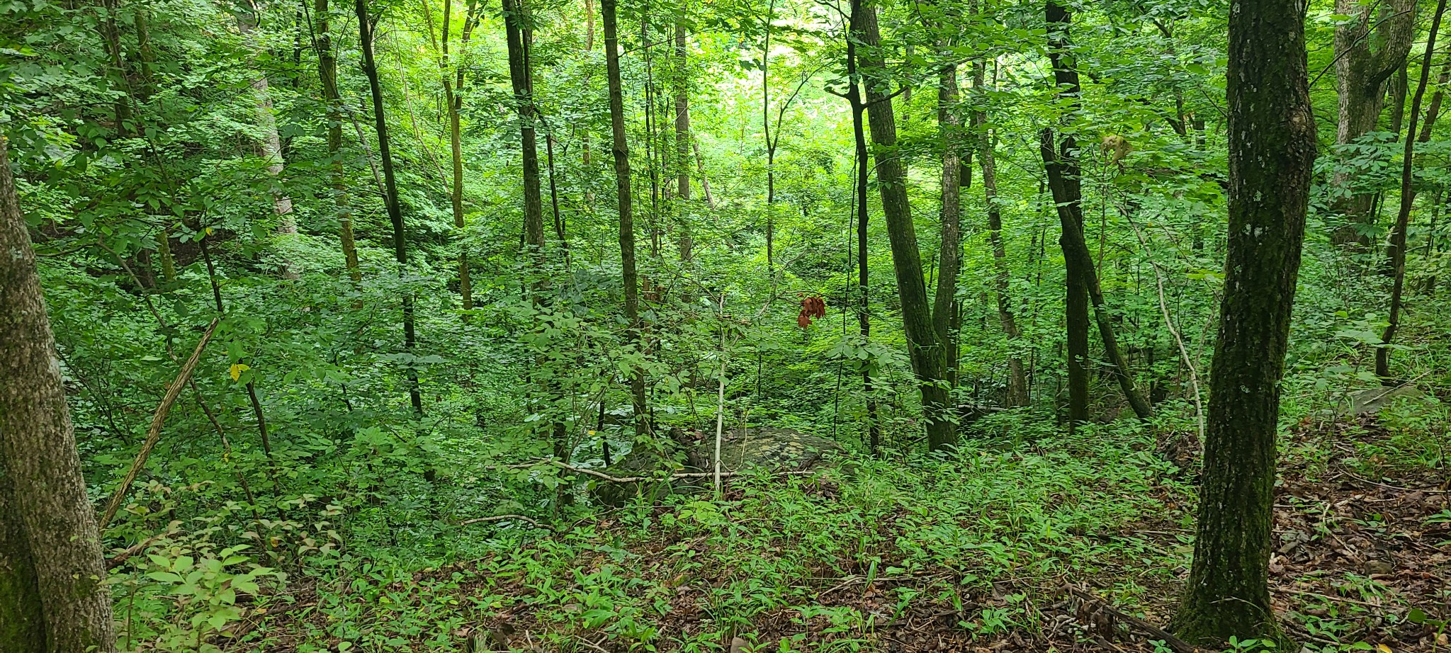 0 Deer Run Rd Property Photo 13