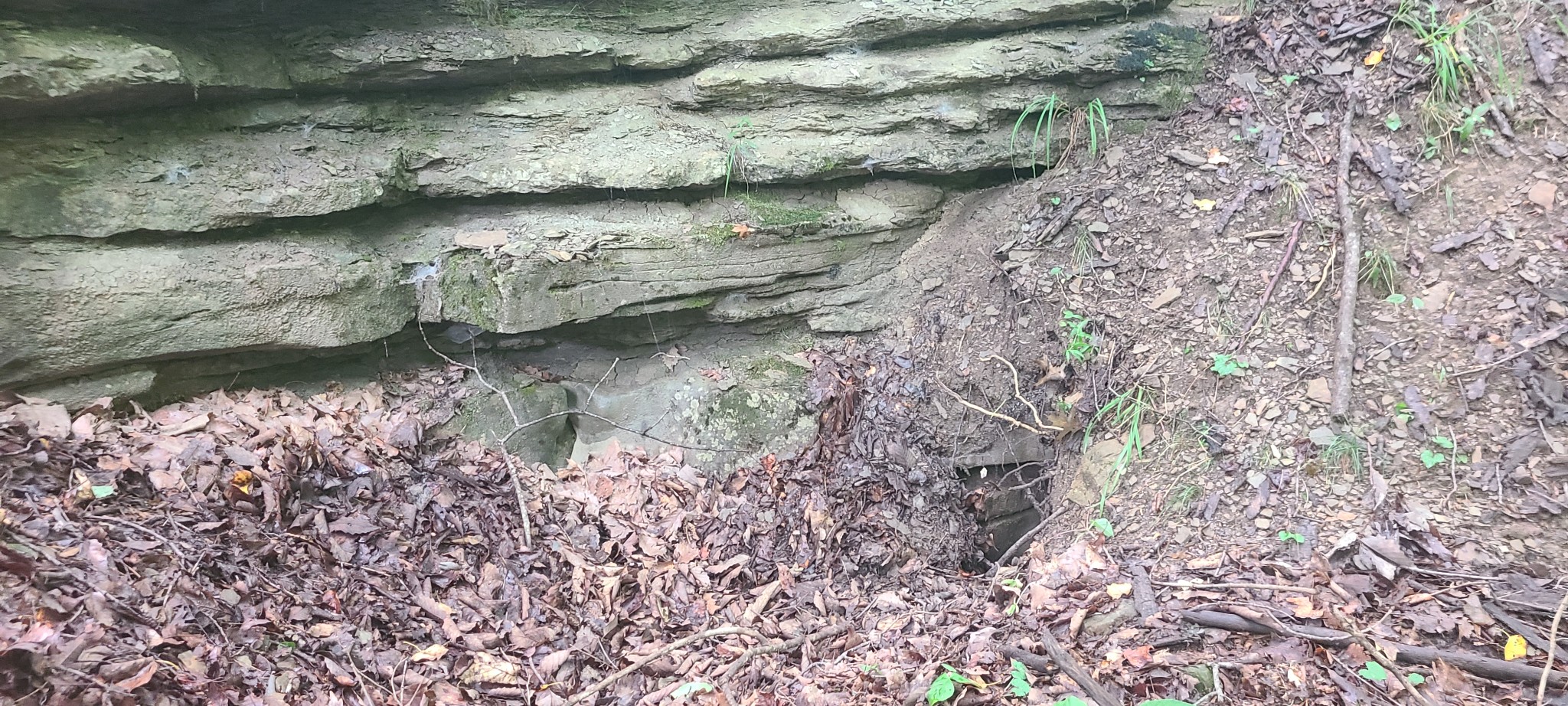 0 Deer Run Rd Property Photo 17
