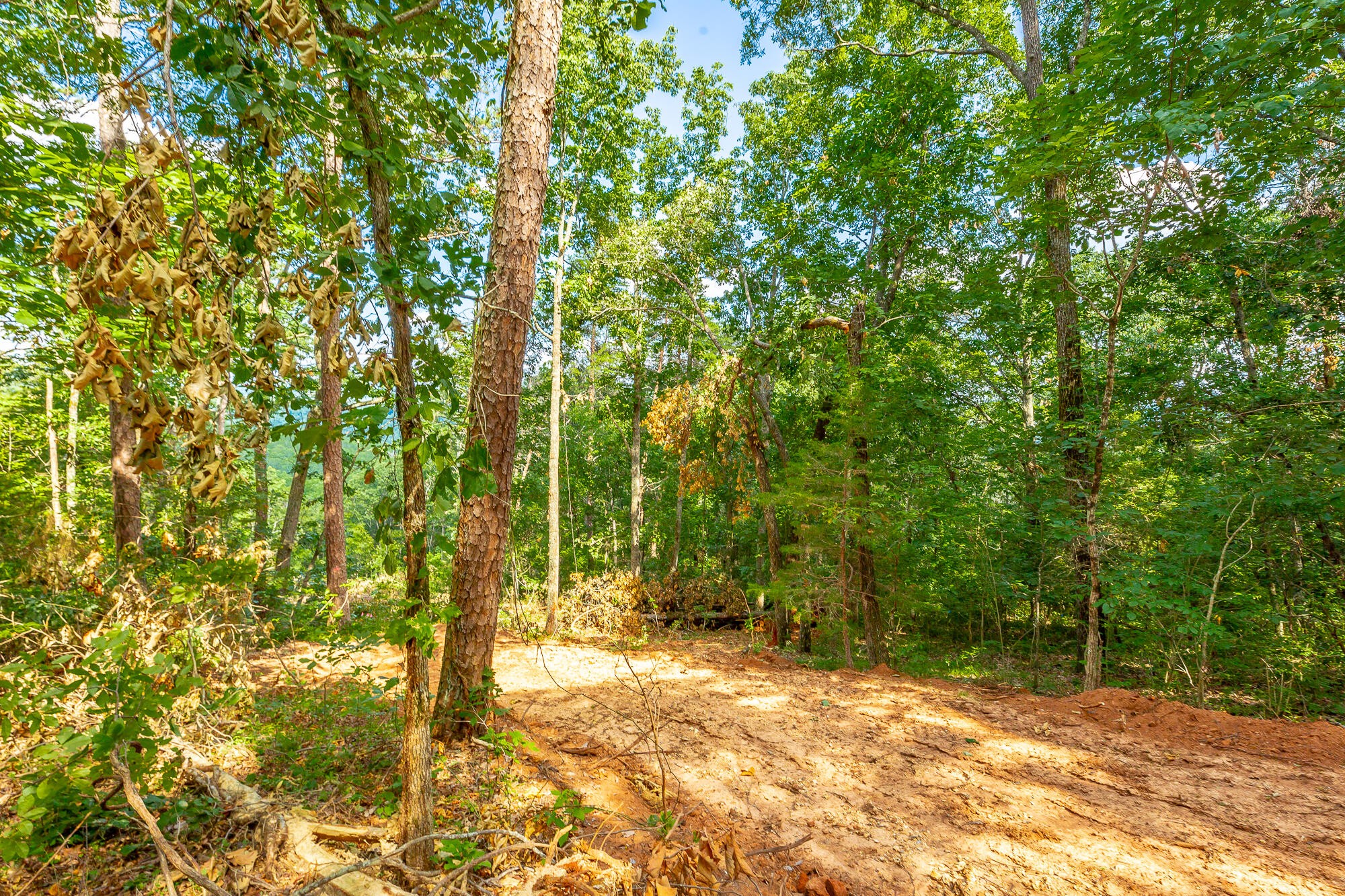 0 Clearview Drive Property Photo 13