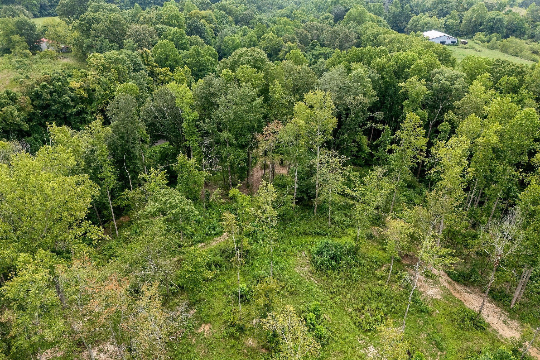 0 Quail Pointe Dr Property Photo 11