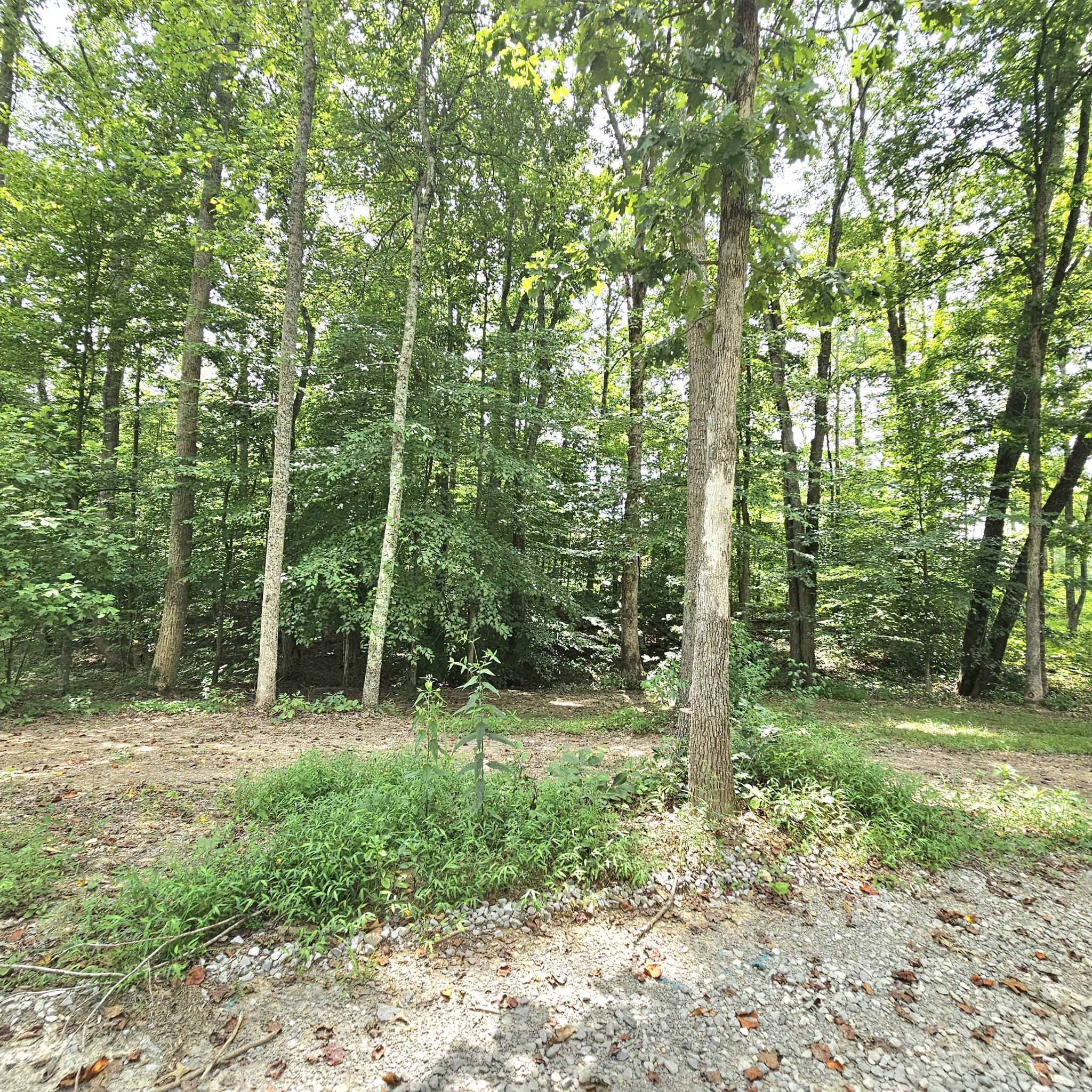 0 Quail Pointe Dr Property Photo 15