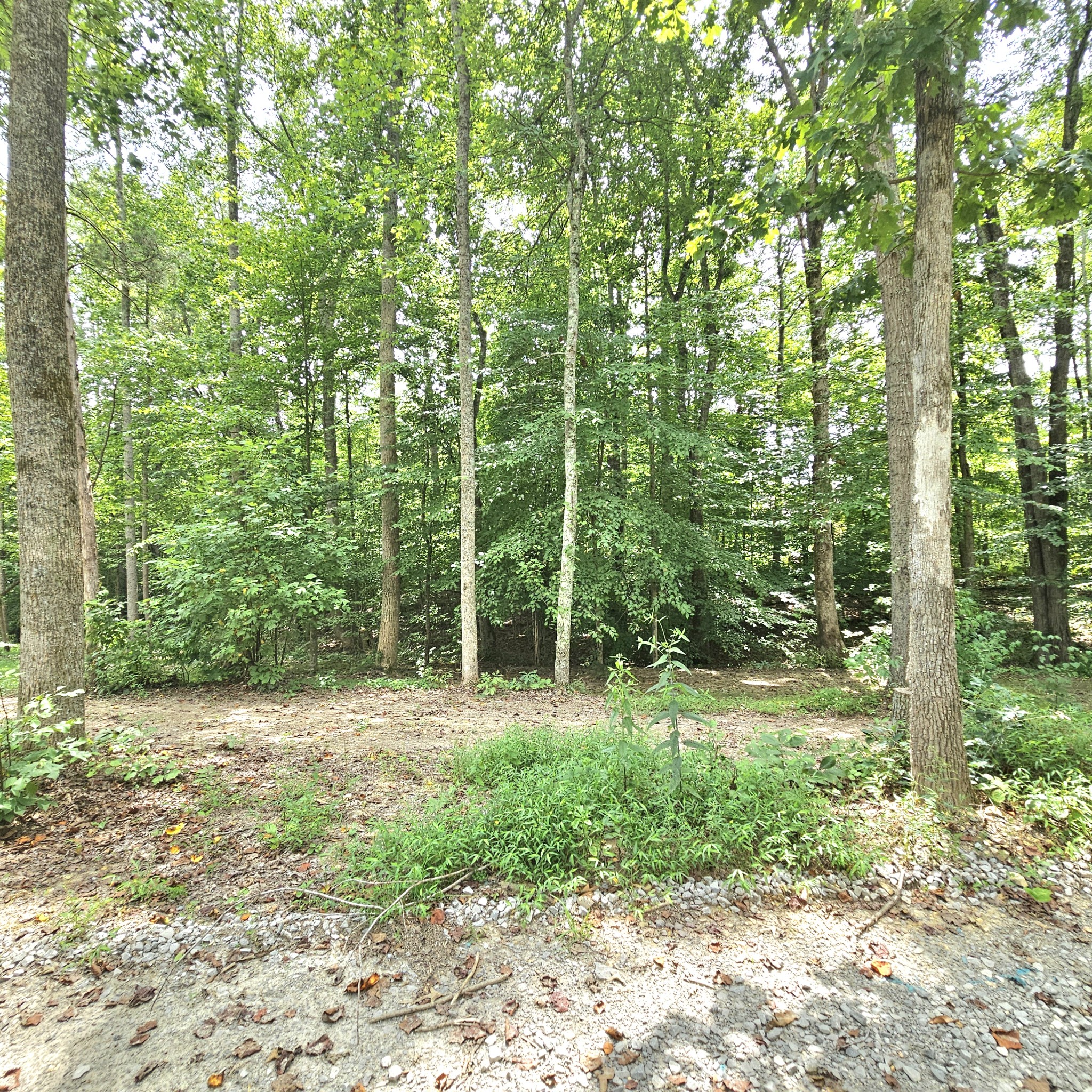 0 Quail Pointe Dr Property Photo 19