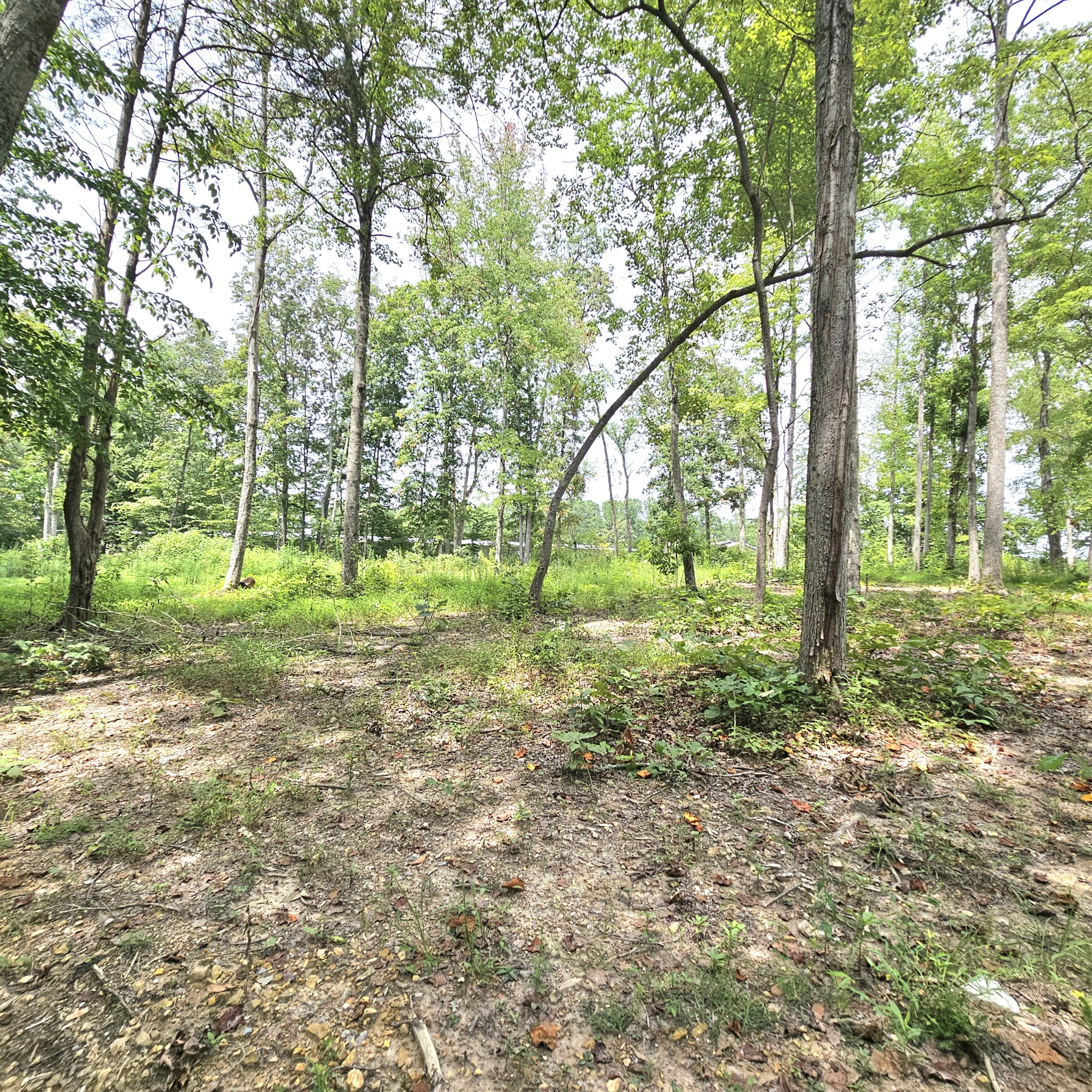 0 Quail Pointe Dr Property Photo 26
