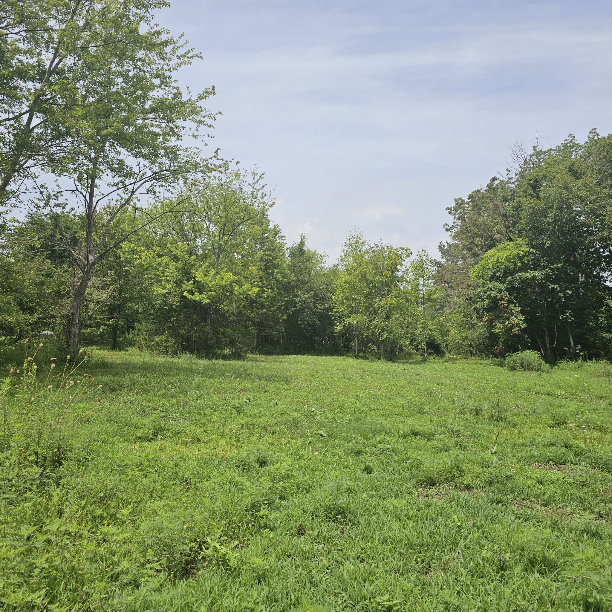 0 Quail Pointe Dr Property Photo 35