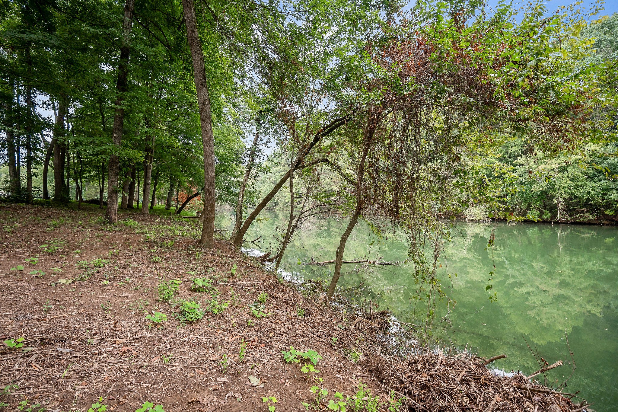 0 Indian Mound Drive Property Photo 5