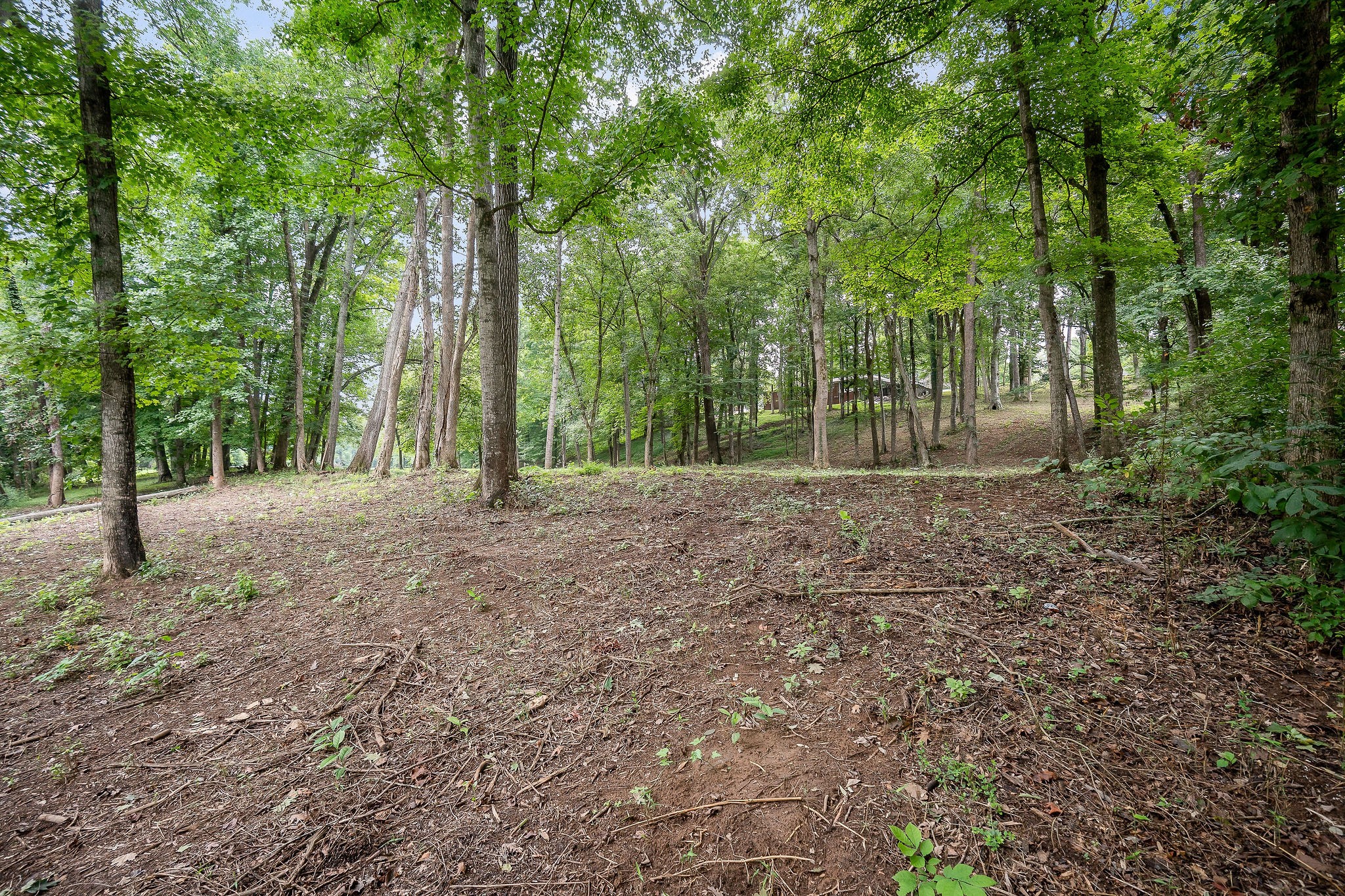 0 Indian Mound Drive Property Photo 7
