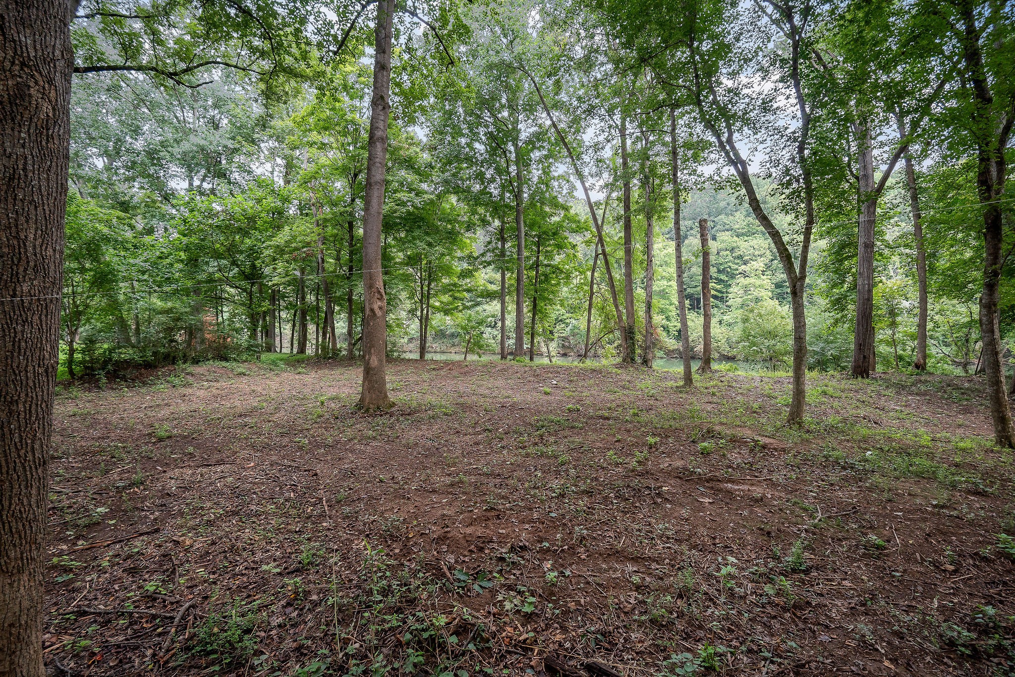 0 Indian Mound Drive Property Photo 8
