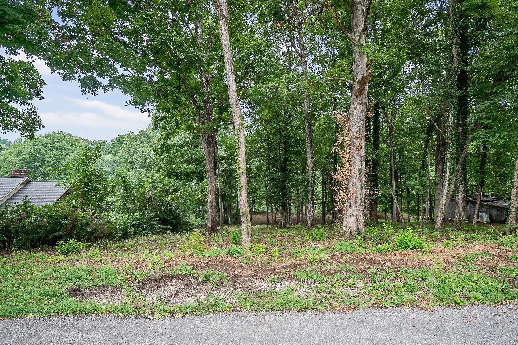 0 Indian Mound Drive Property Photo 10