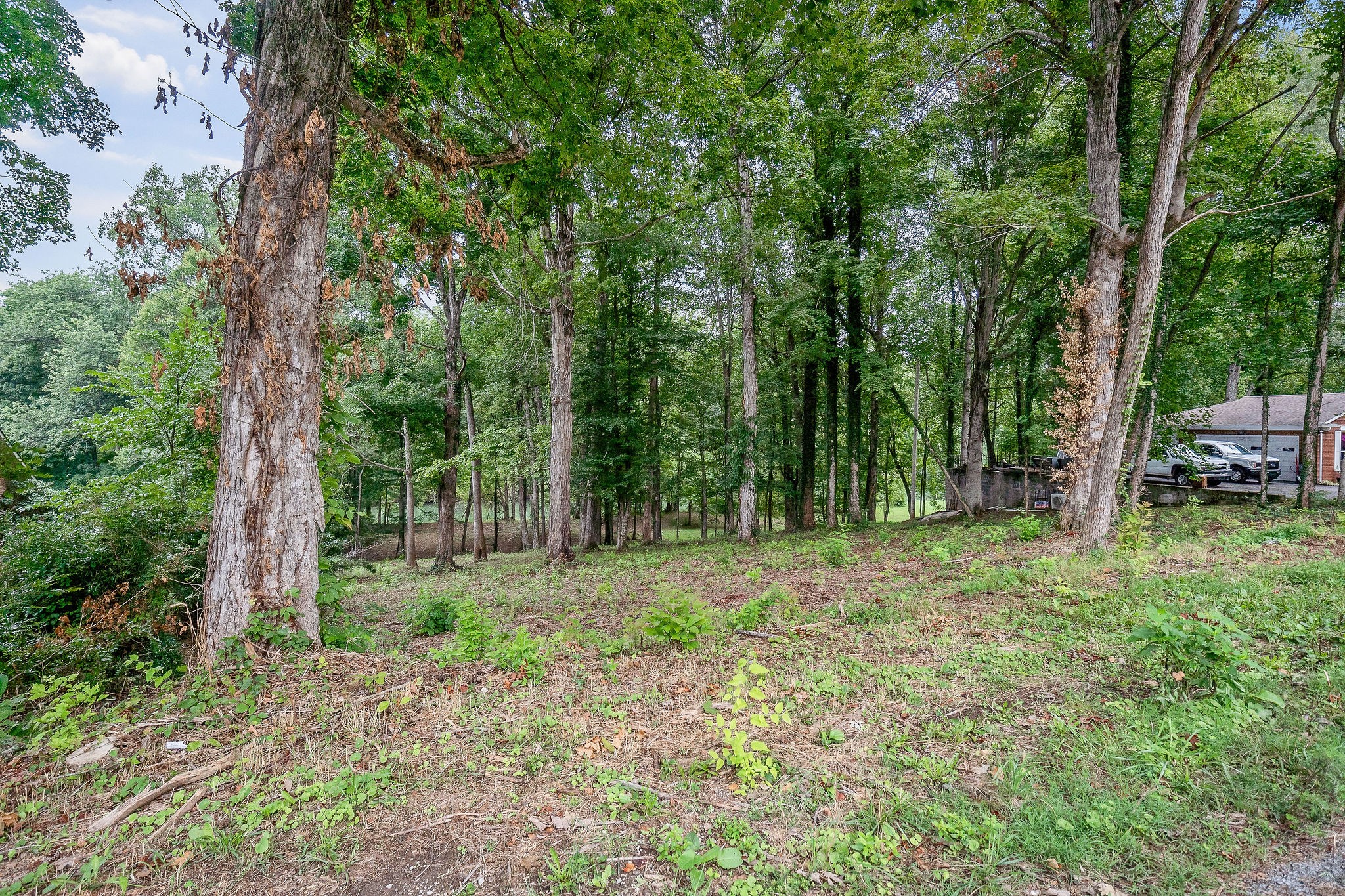 0 Indian Mound Drive Property Photo 11