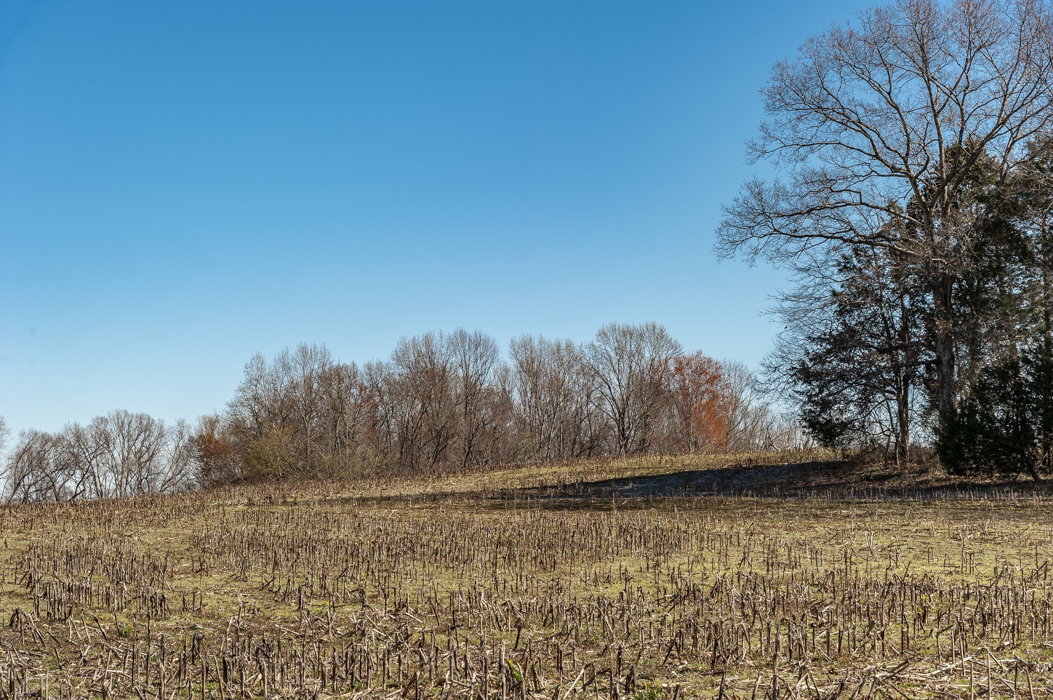 0 52 Highway E Lots Property Photo 2