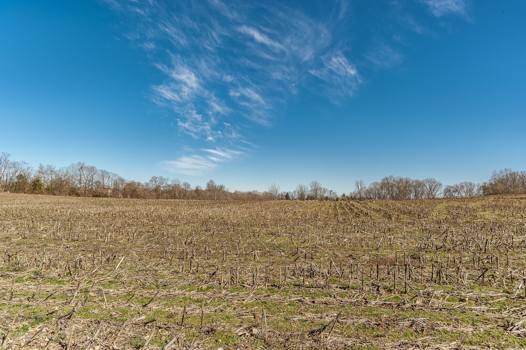 0 52 Highway E Lots Property Photo 3