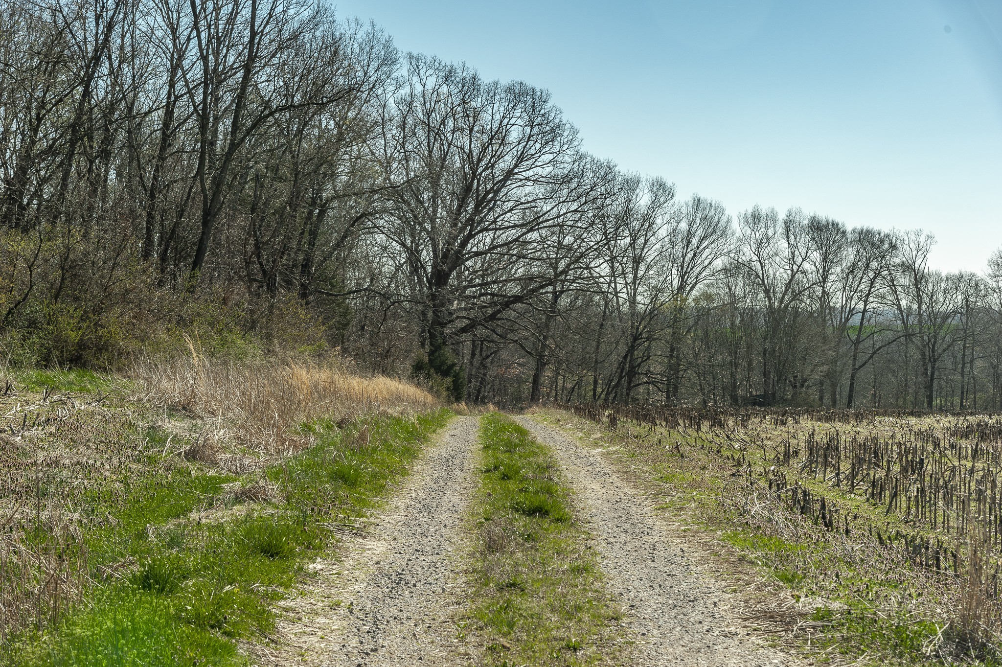 0 52 Highway E Lots Property Photo 4