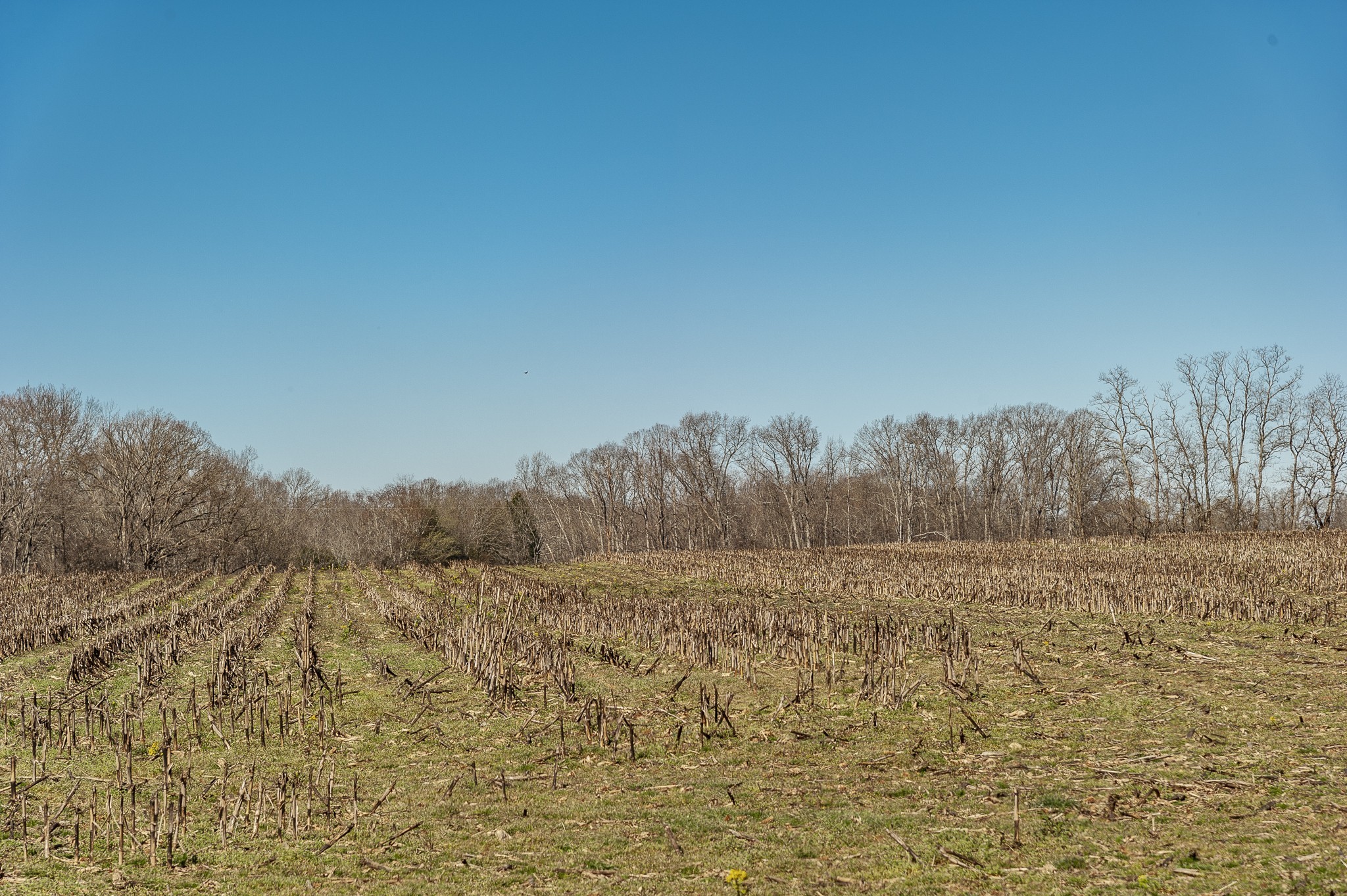 0 52 Highway E Lots Property Photo 7
