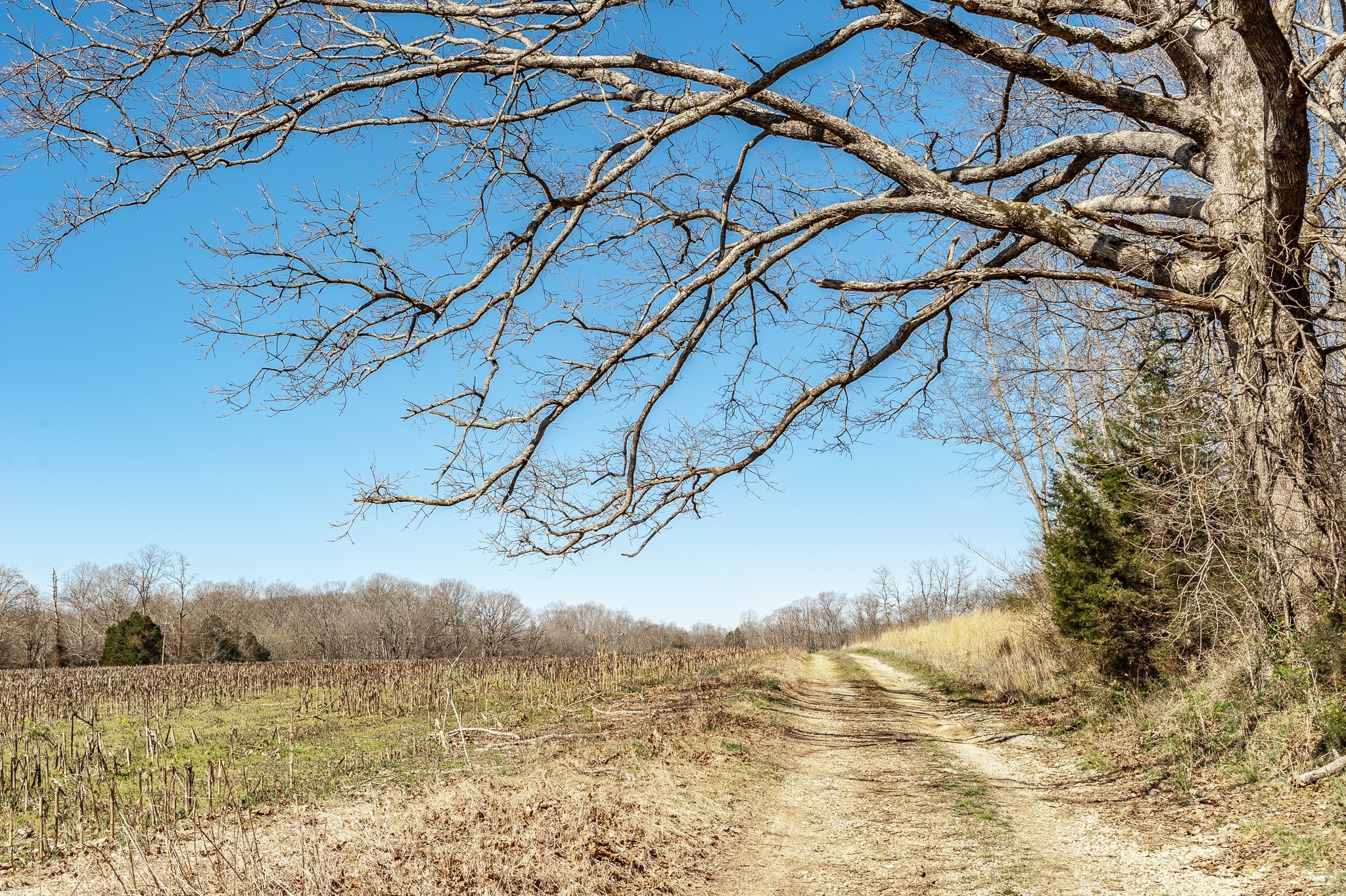 0 52 Highway E Lots Property Photo 15
