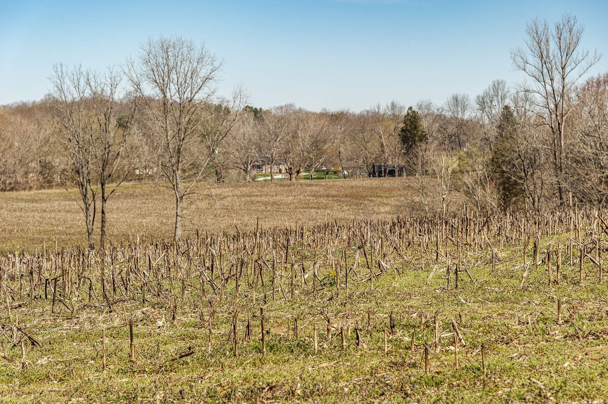 0 52 Highway E Lots Property Photo 18