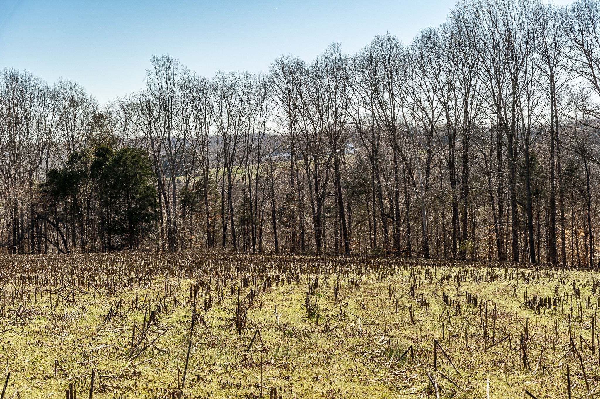0 52 Highway E Lots Property Photo 20