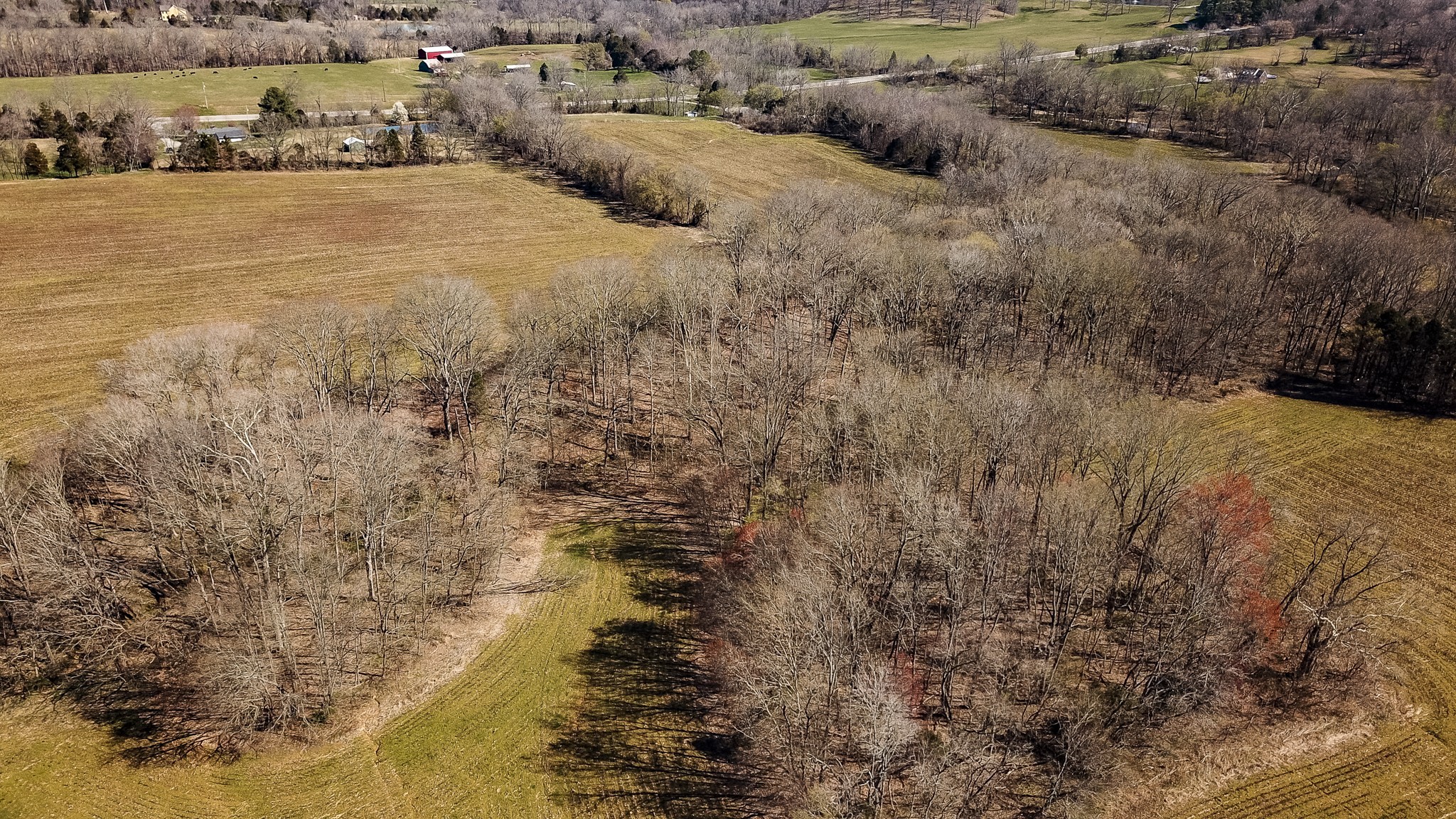 0 52 Highway E Lots Property Photo 49