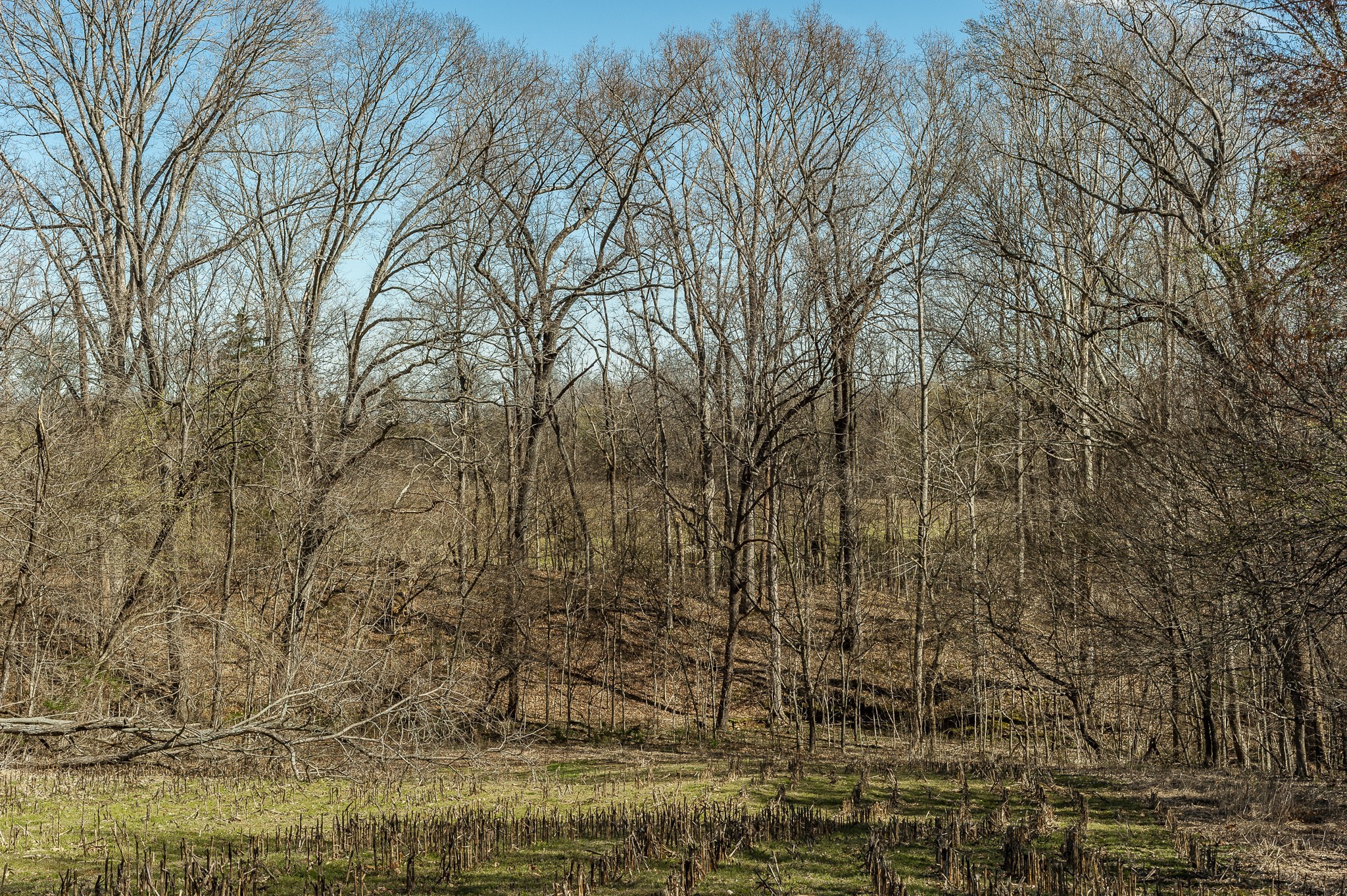 0 52 Highway E Lots Property Photo 52
