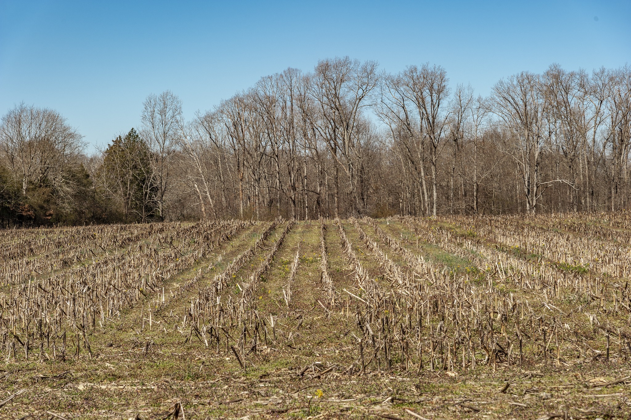 0 52 Highway E Lots Property Photo 58