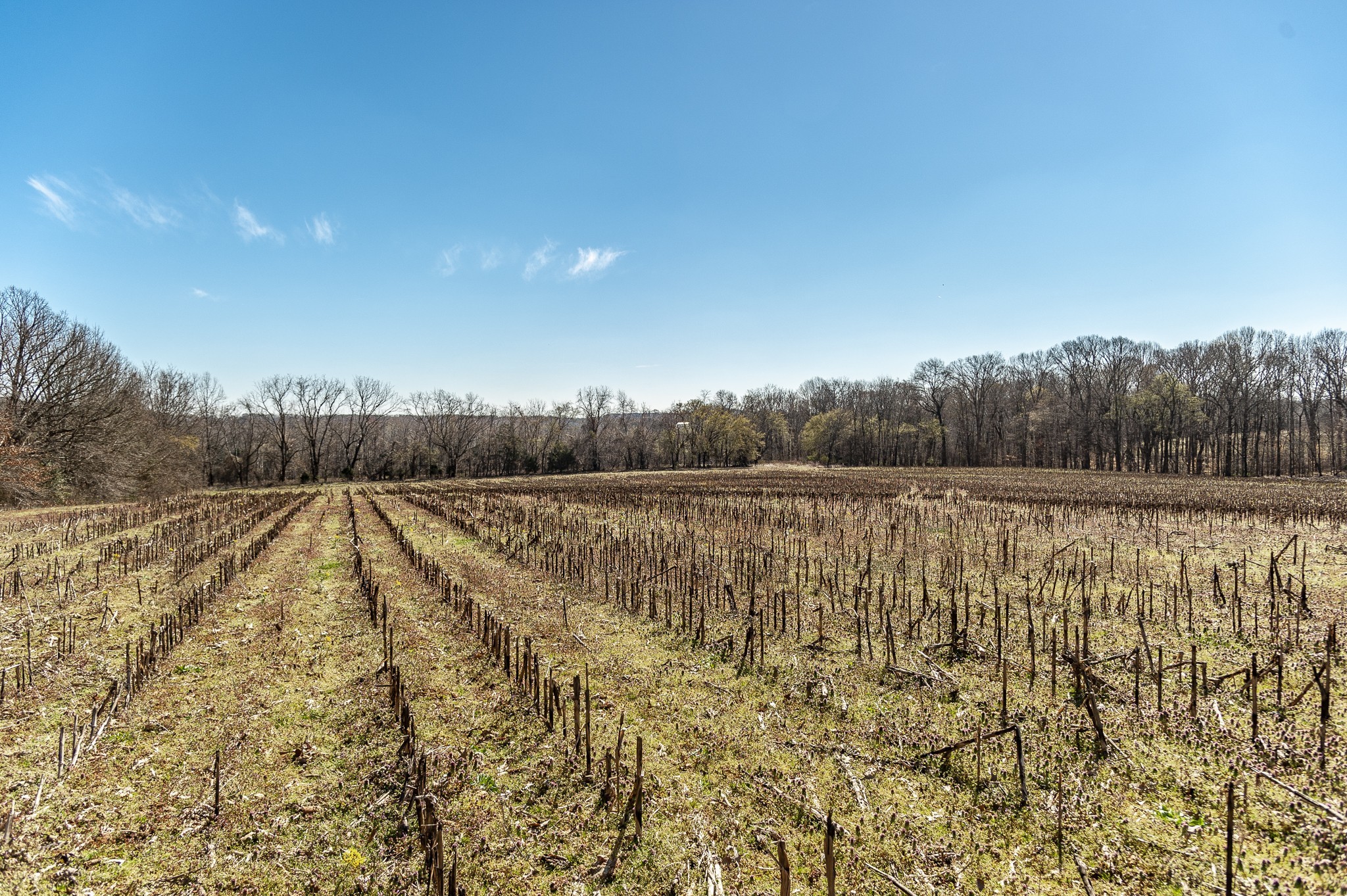 0 52 Highway E Lots Property Photo 63