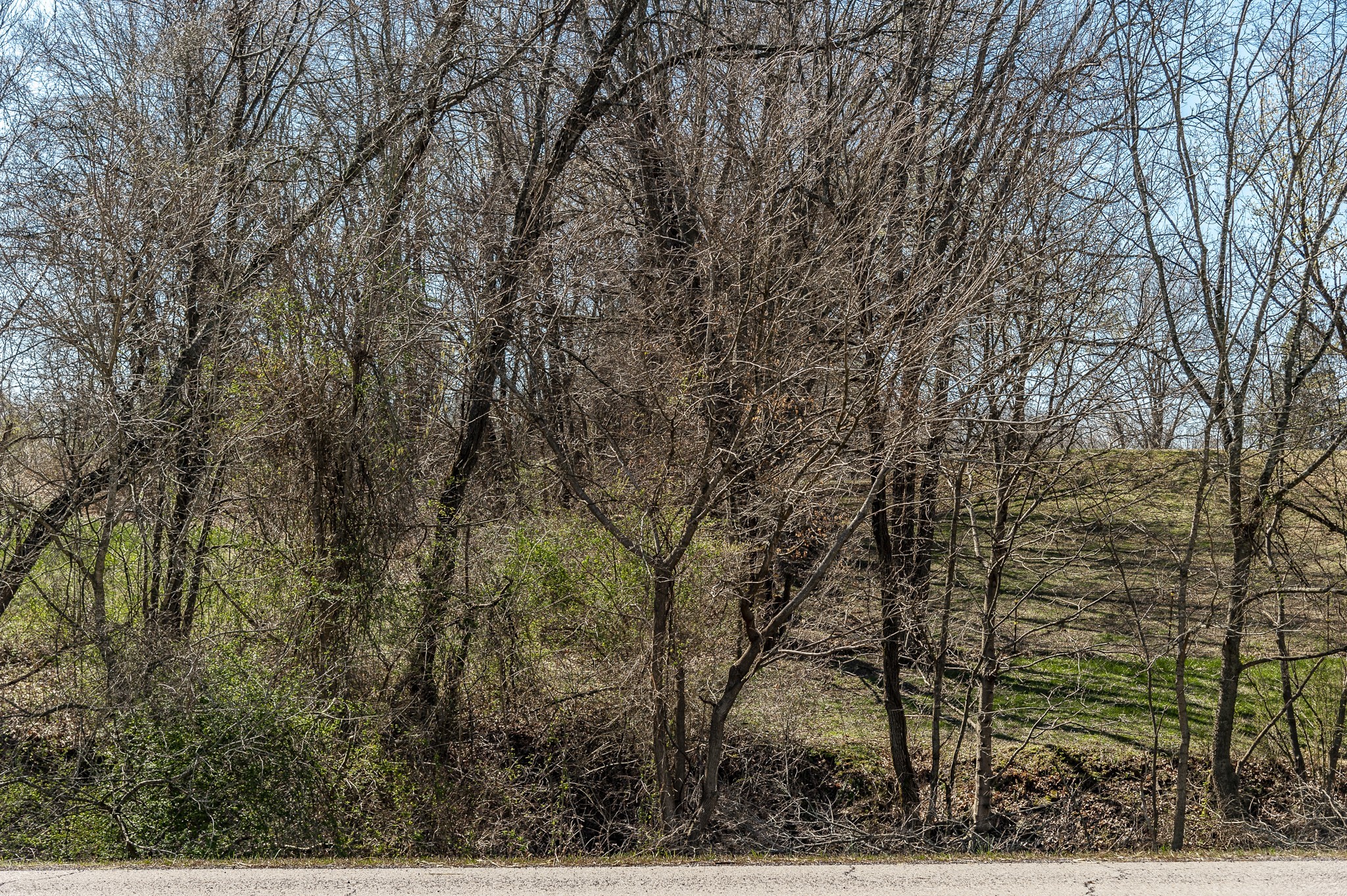 0 52 Highway E Lots Property Photo 65