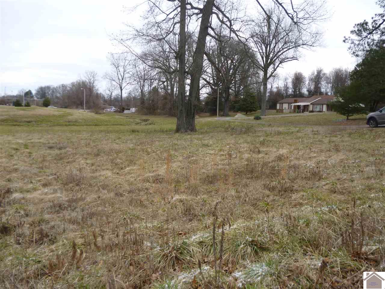 139 Goodman Dr Property Photo 3