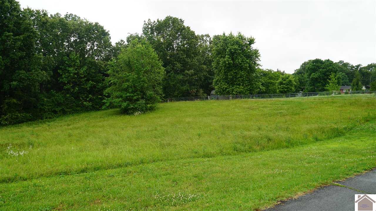 Lot 40 Cox Creek Drive Property Photo 1