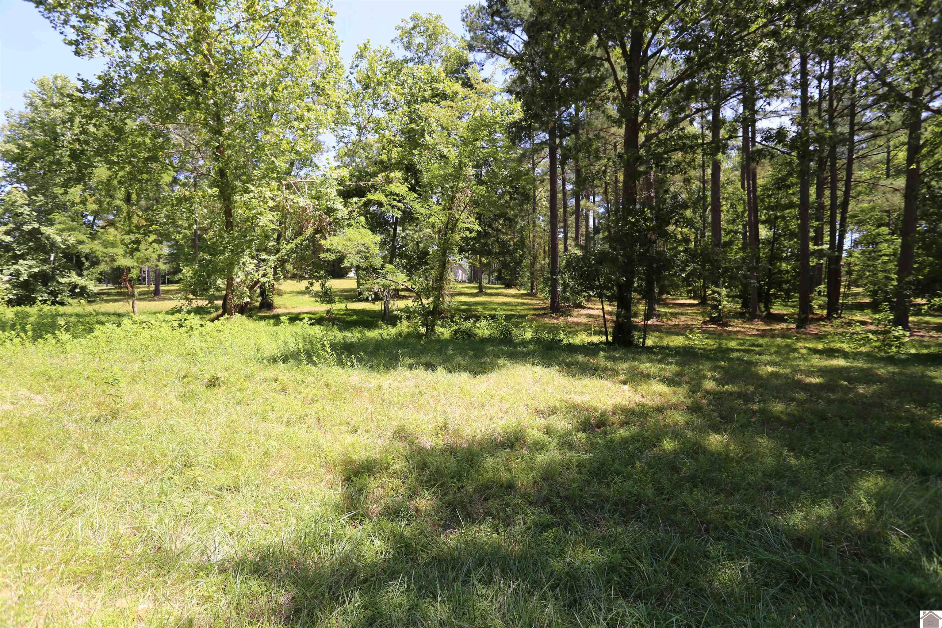 Lot #42 Pine View Drive Property Photo 1