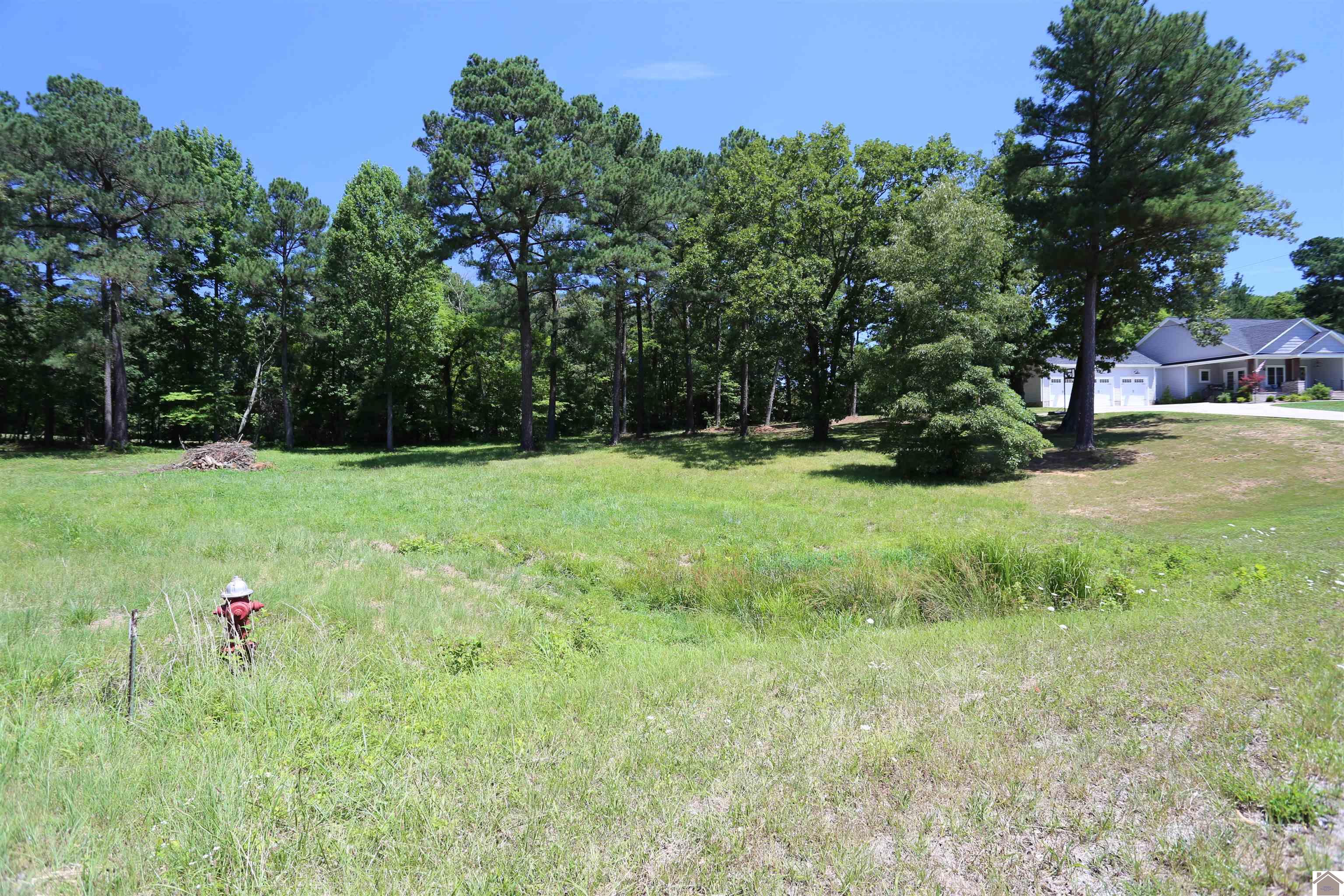Lot #14 Pine View Drive Property Photo 1
