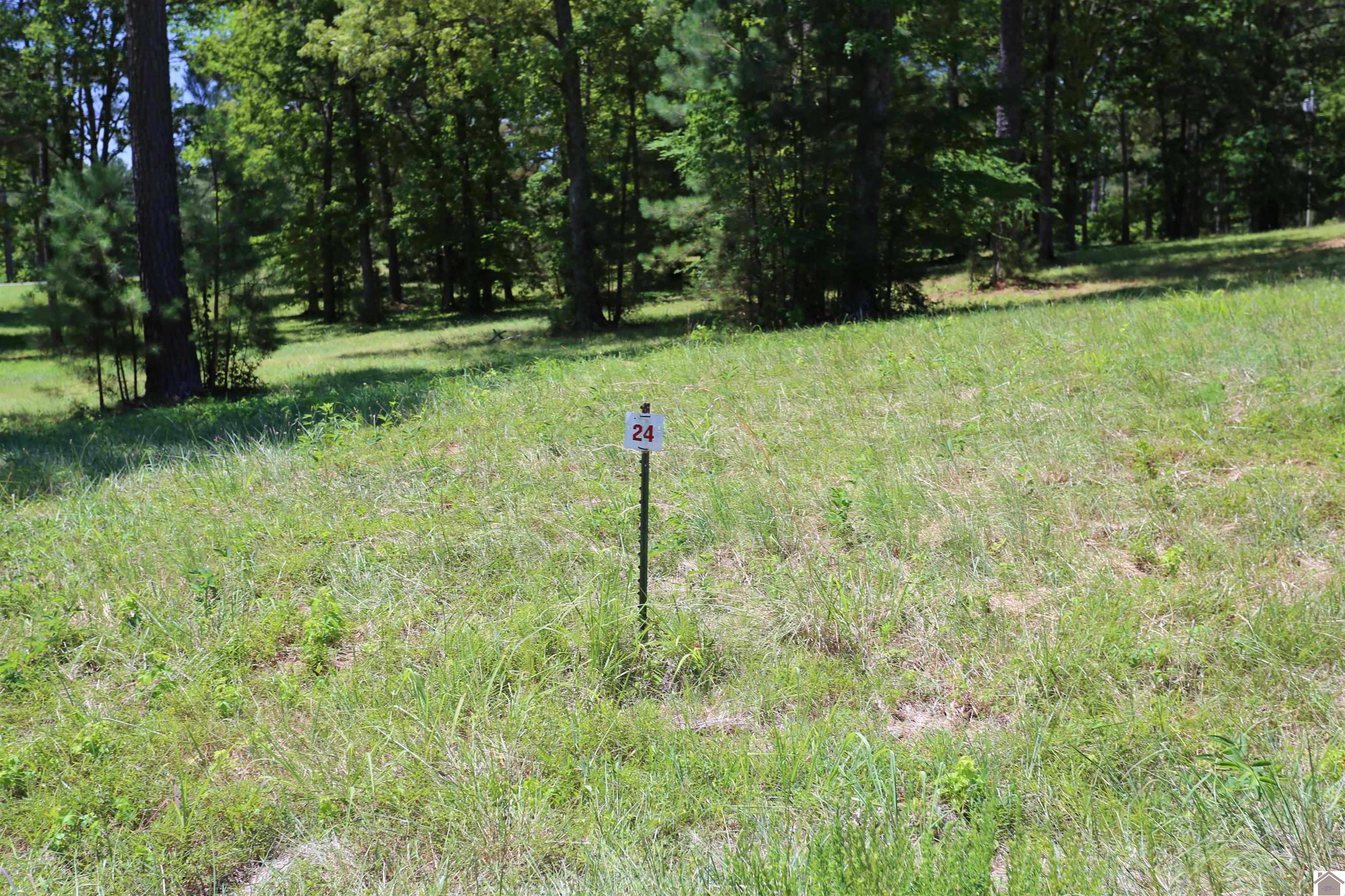 Lot #24 Pine View Drive Property Photo 1