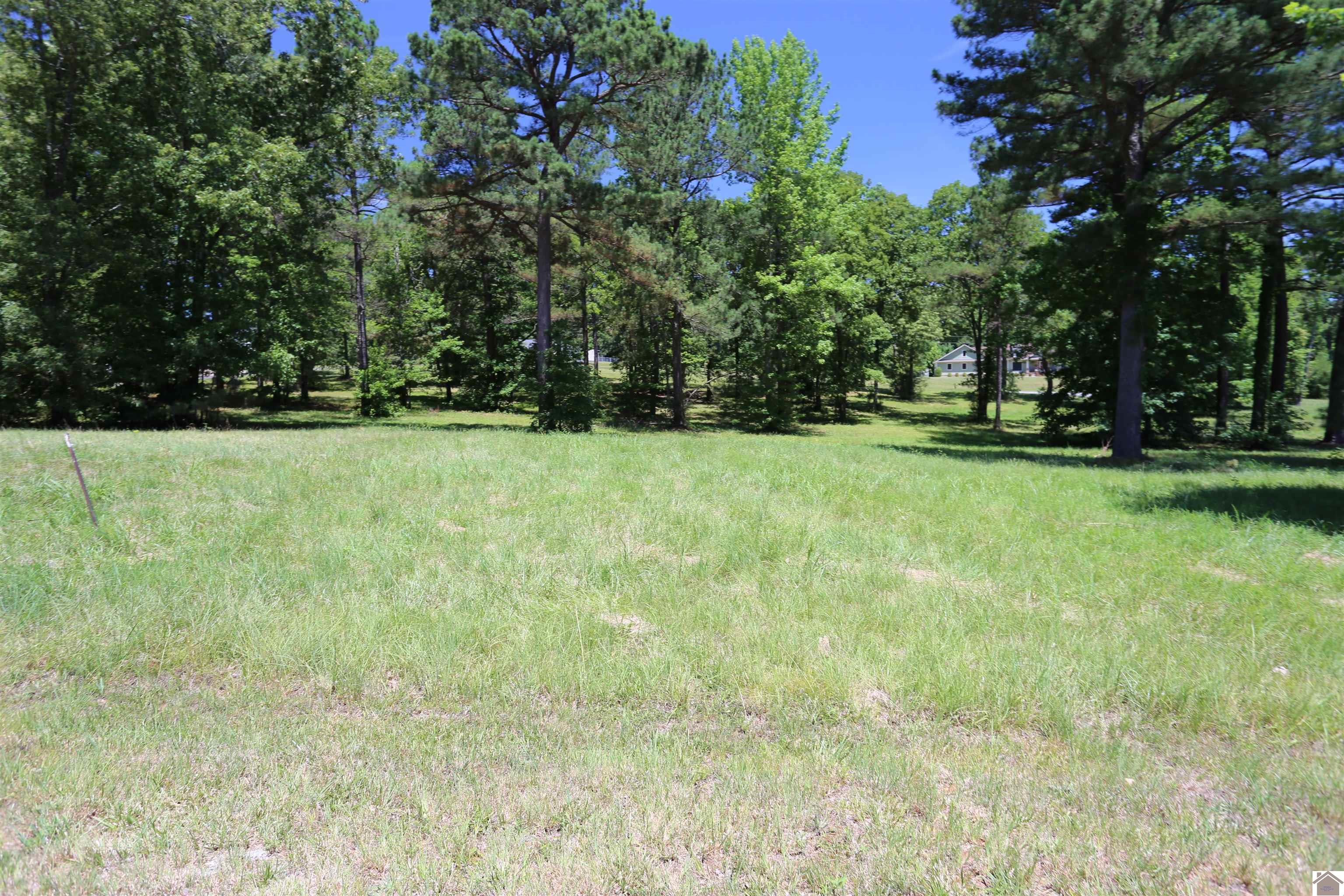 Lot #28 Amber Cole Court Property Photo 1