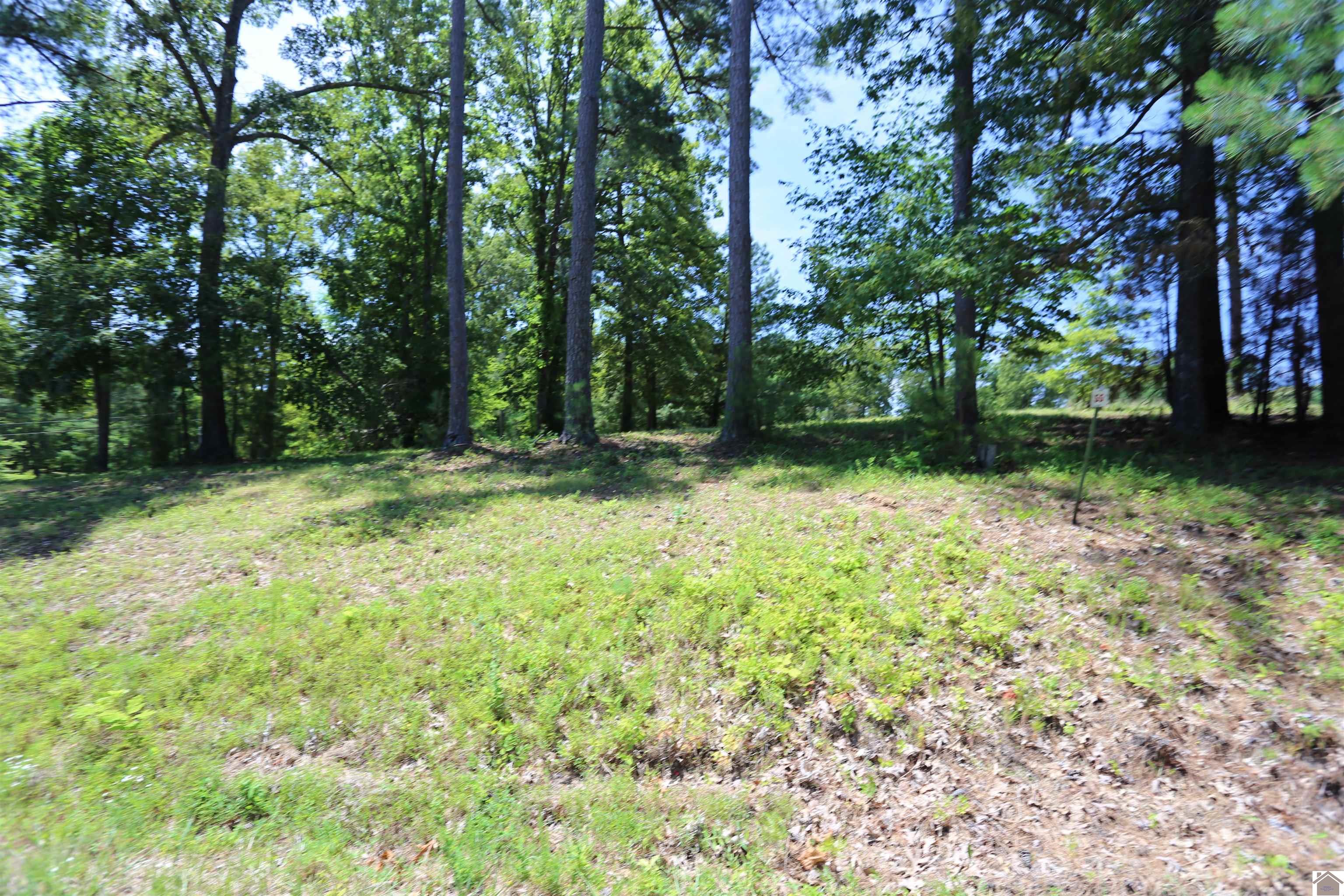 Lot #54 Pine View Drive Property Photo 1