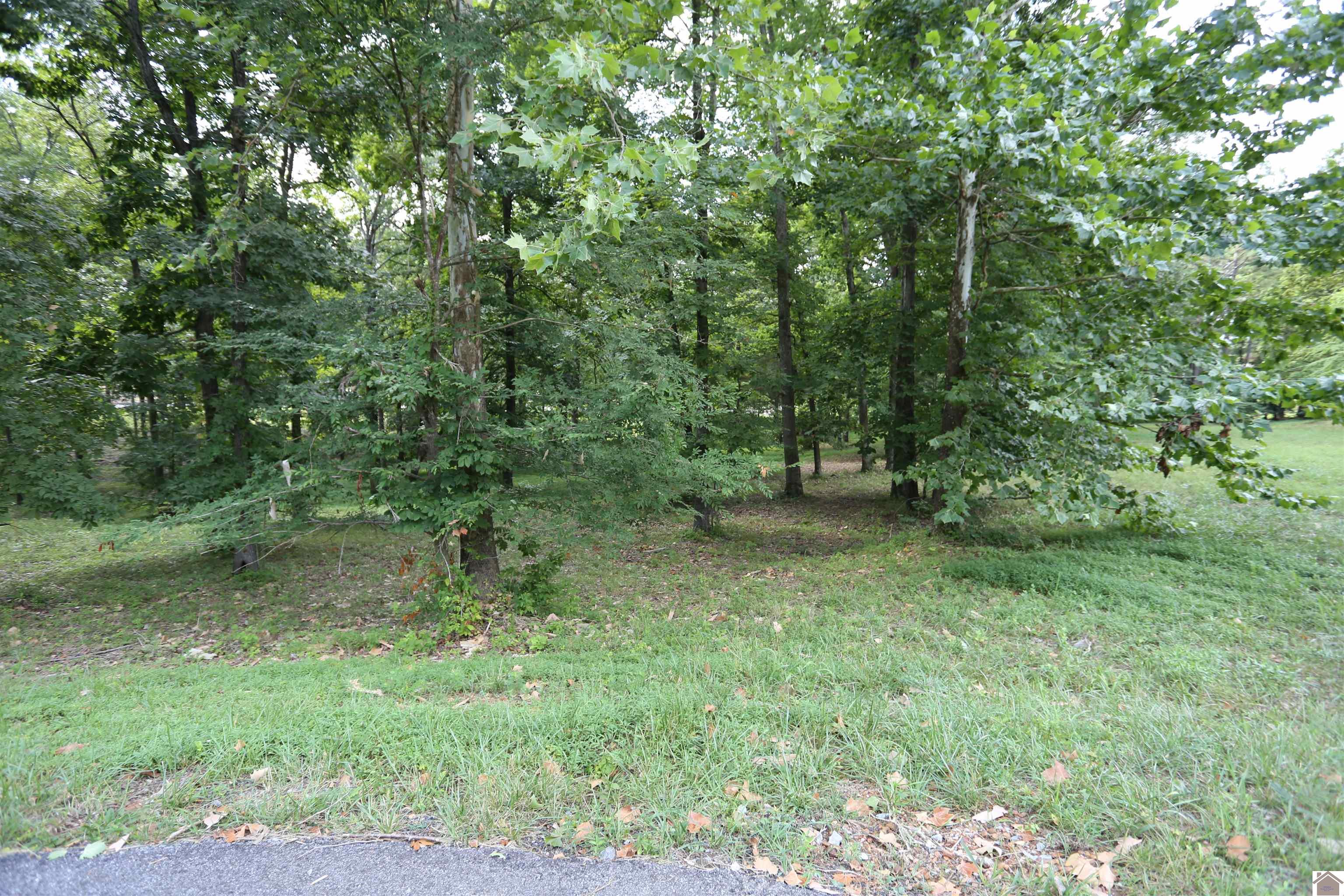 Lot #3 Pine View Drive Property Photo 1