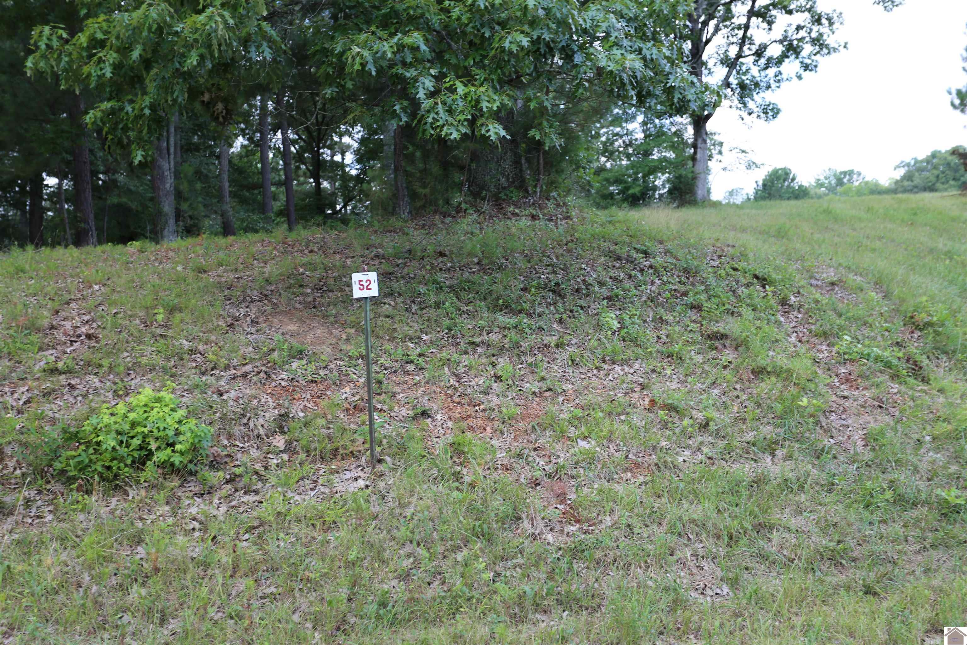 Lot #52 Doe Valley Drive Property Photo 1