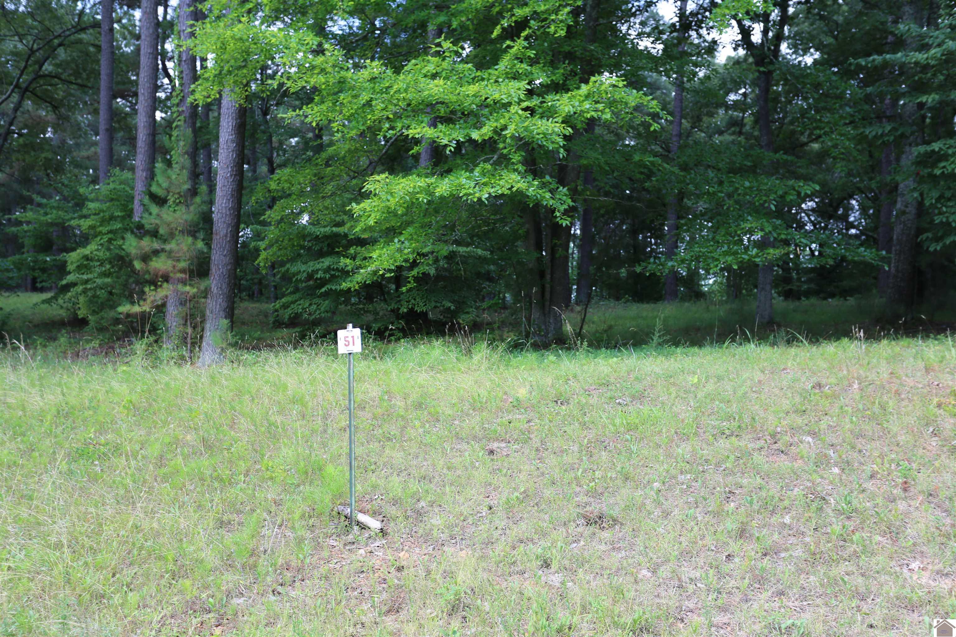 Lot #51 Doe Valley Drive Property Photo 1