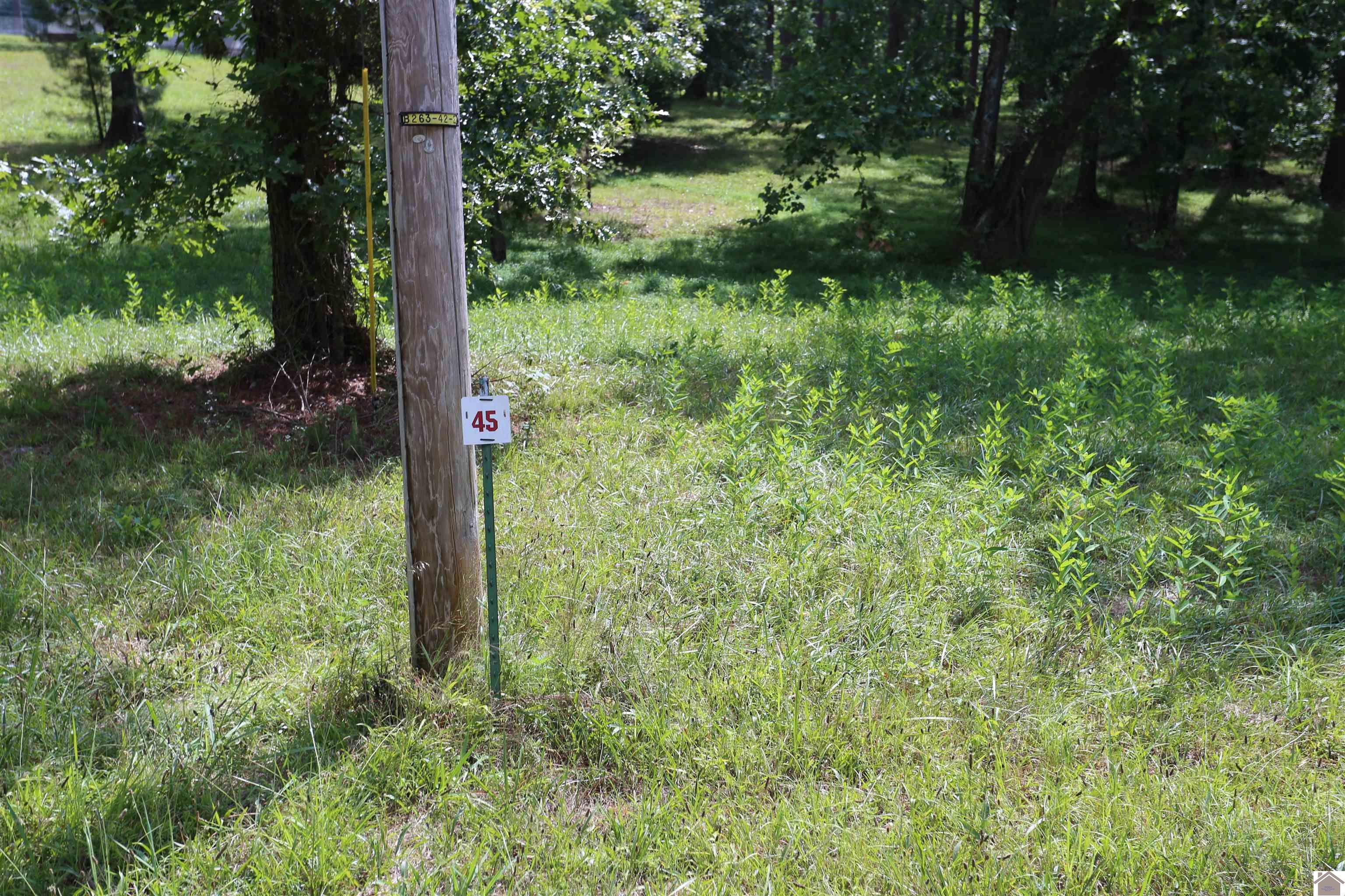 Lot #45 Doe Valley Drive Property Photo 1