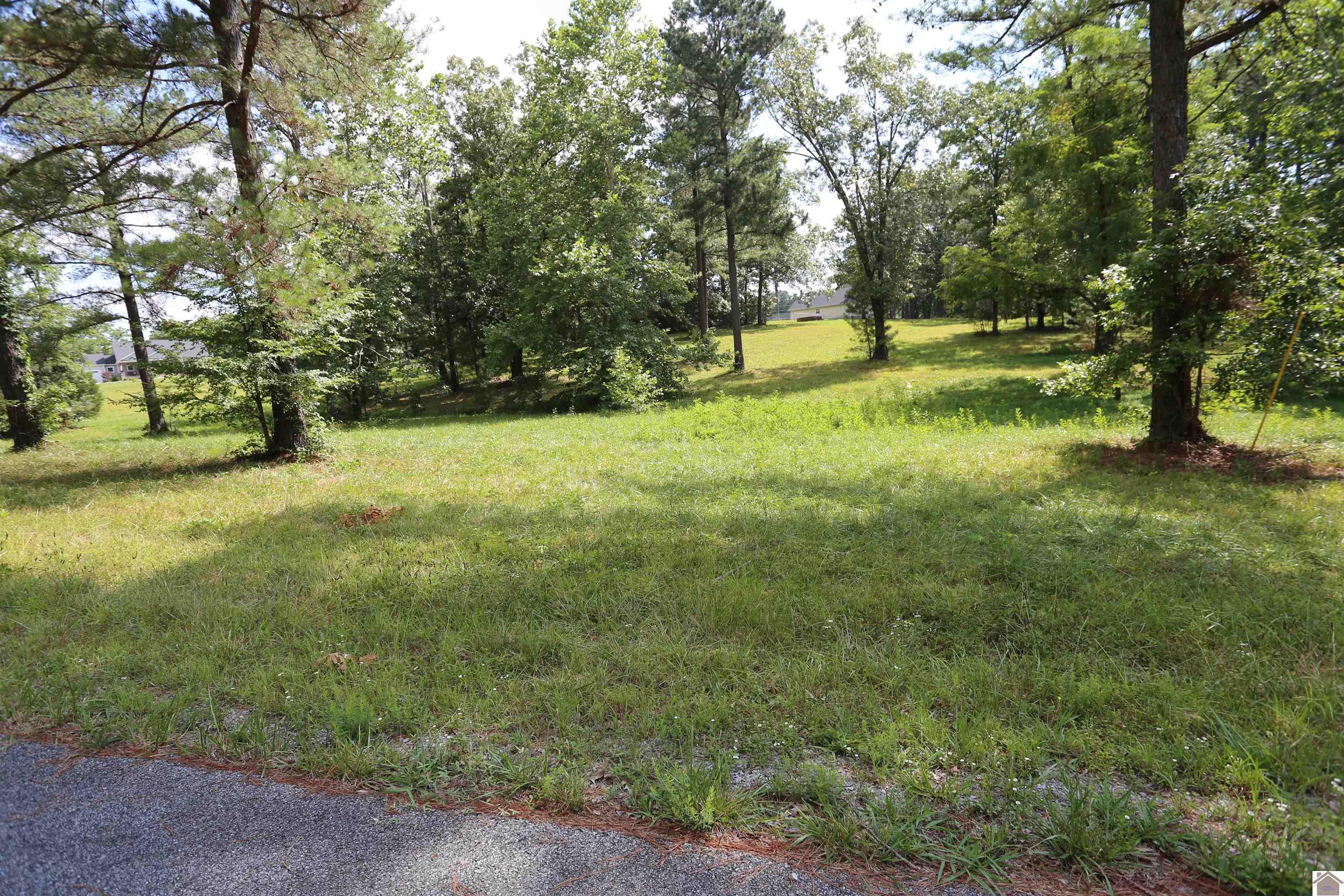 Lot #44 Doe Valley Drive Property Photo 1