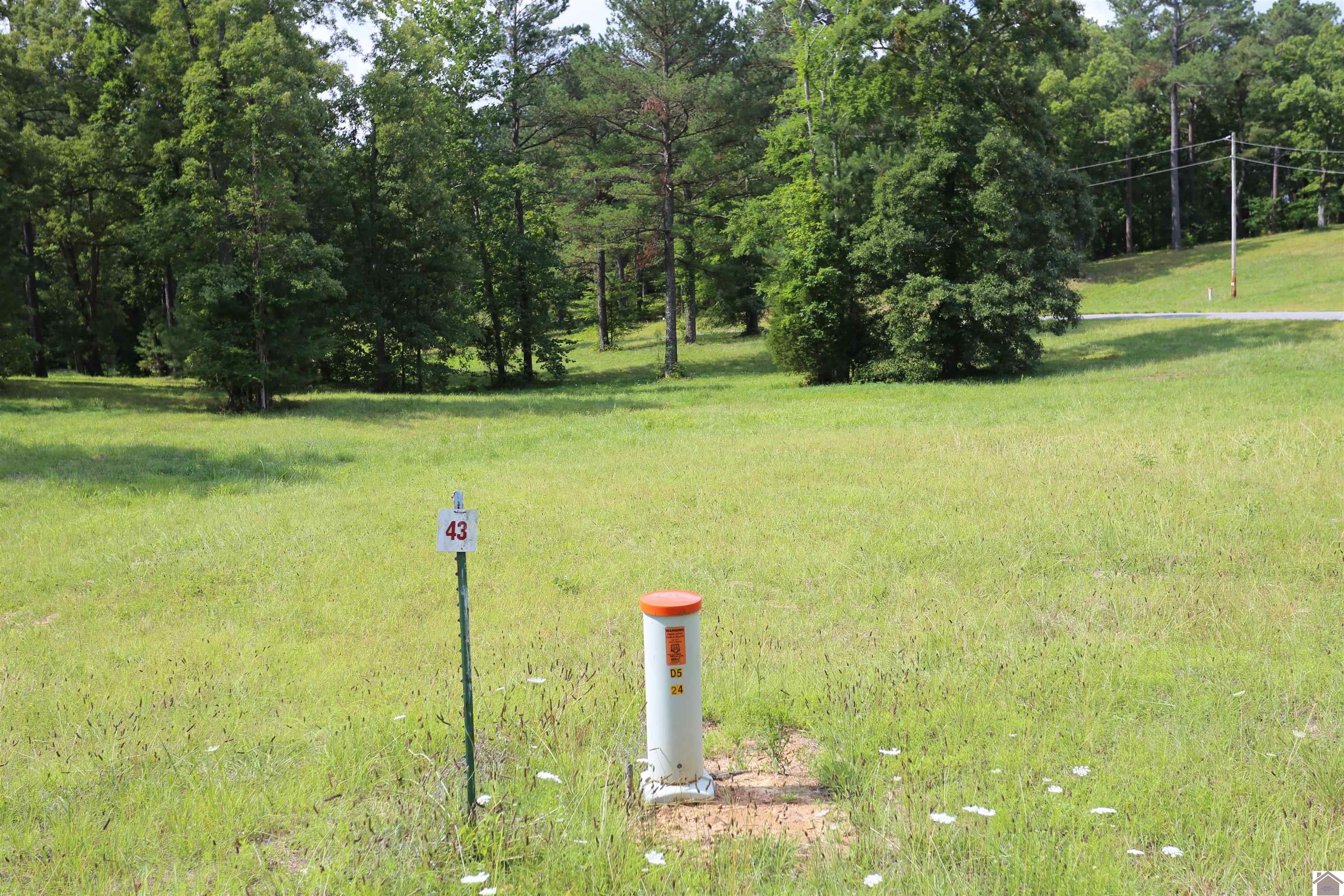 Lot #43 Pine View Drive Property Photo 1