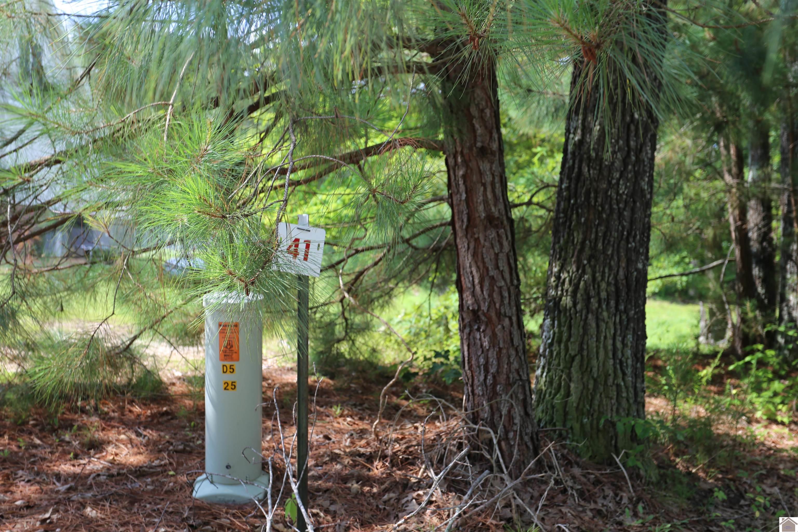 Lot #41 Pine View Drive Property Photo 1