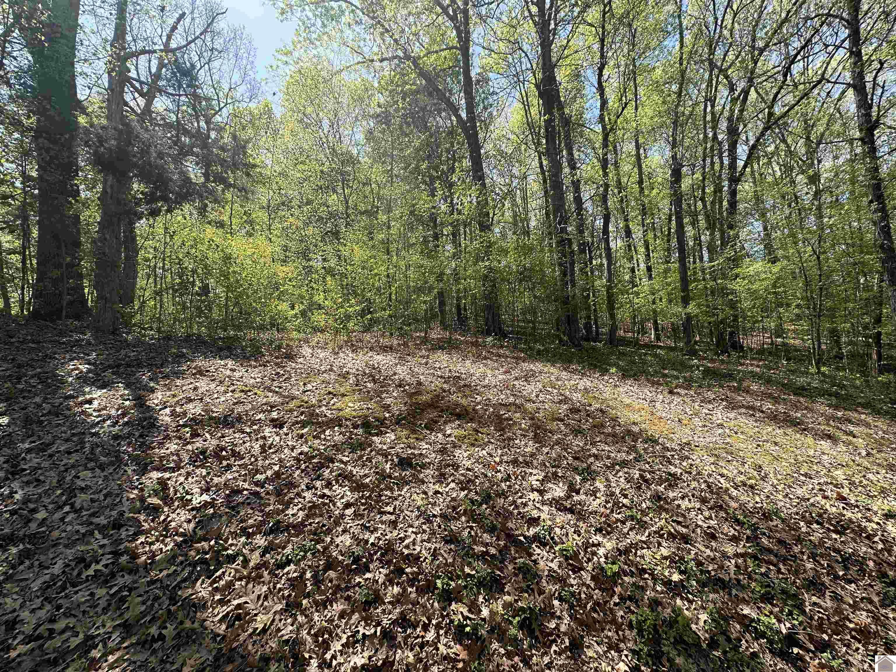 625 Country Hills Dr Property Photo 1
