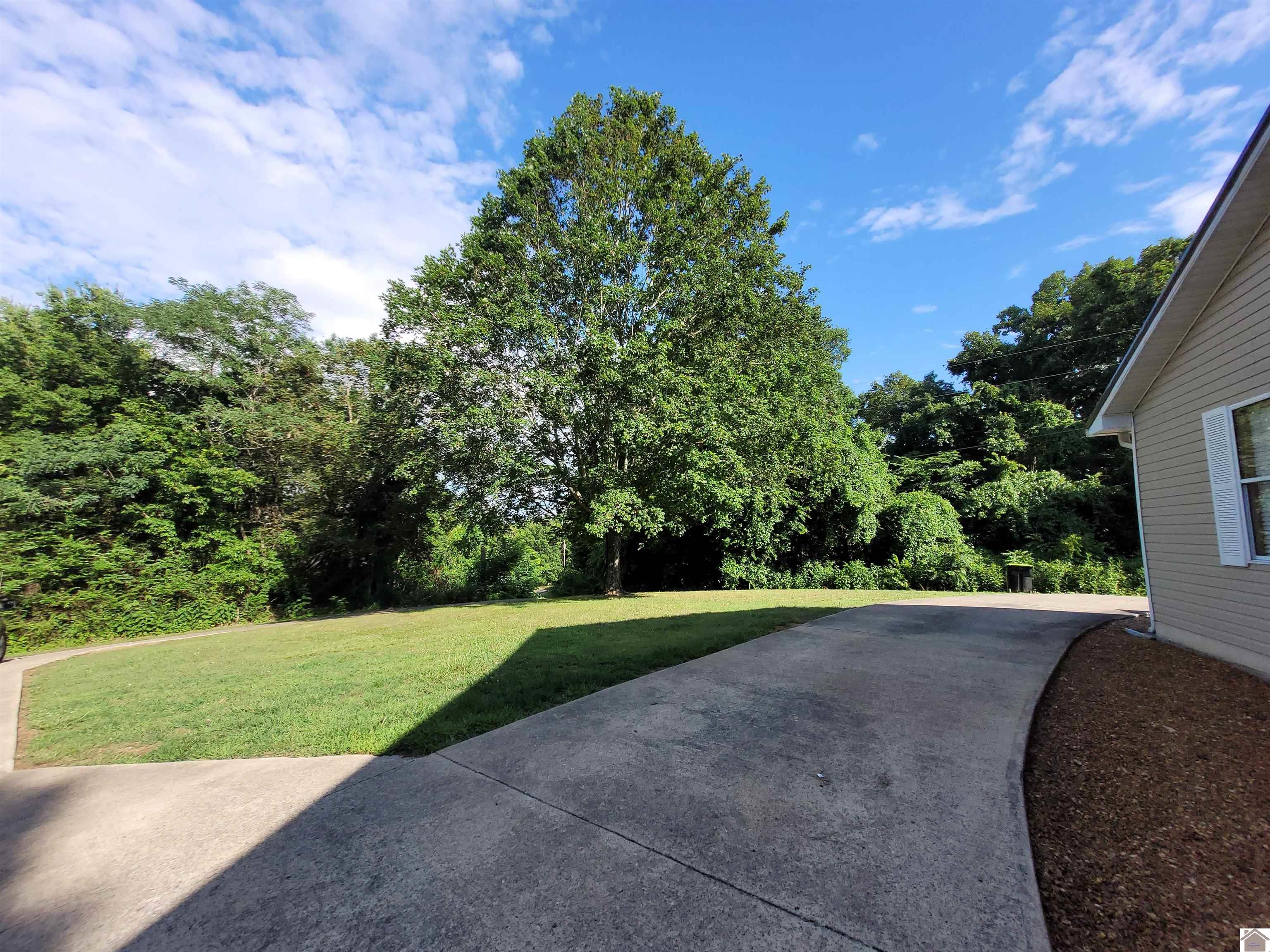 78 Hills Hollow Dr Property Photo 4