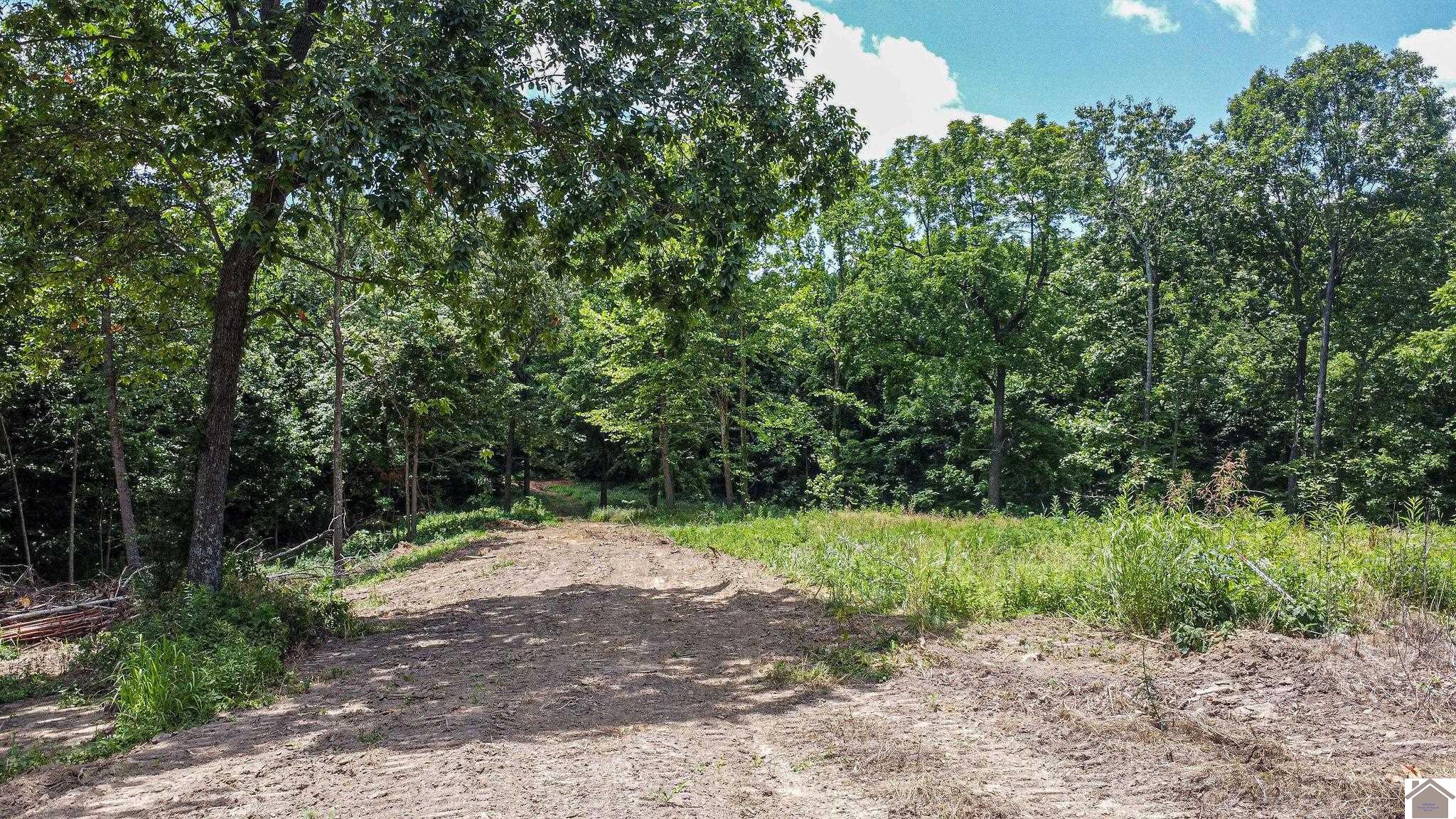 1275 N State Route 93 Property Photo 8