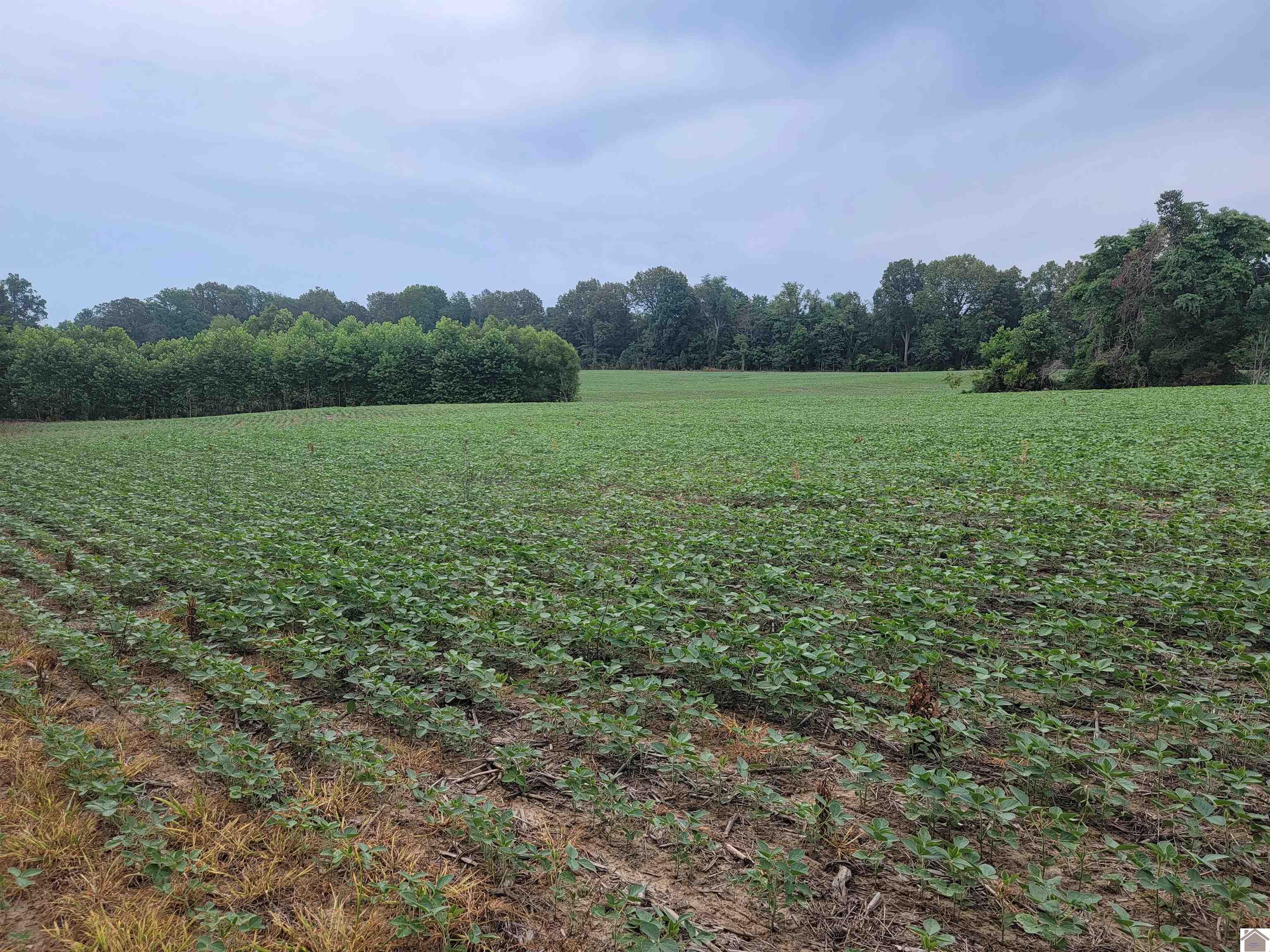 750 State Route 818 Property Photo 4