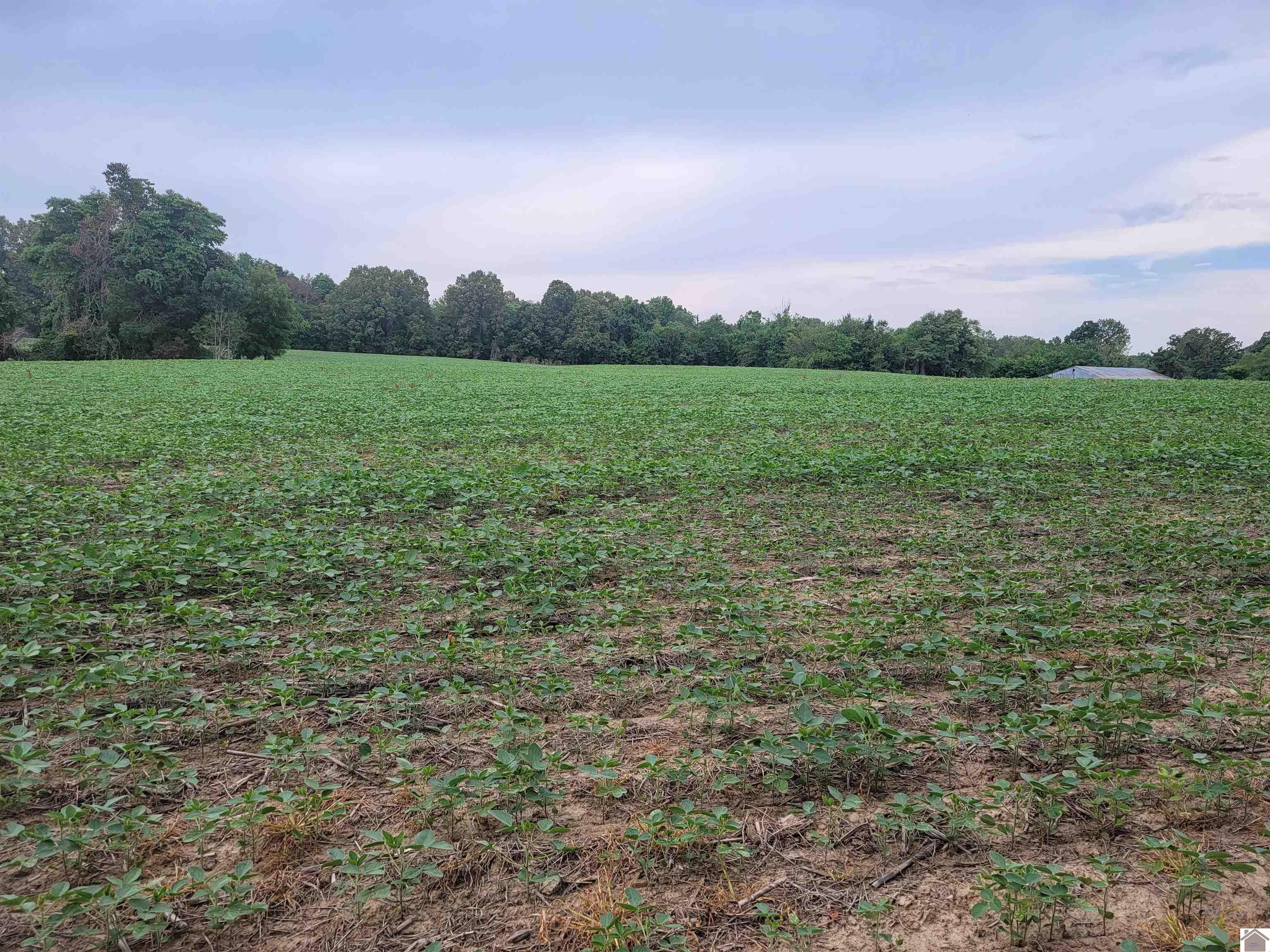 750 State Route 818 Property Photo 5